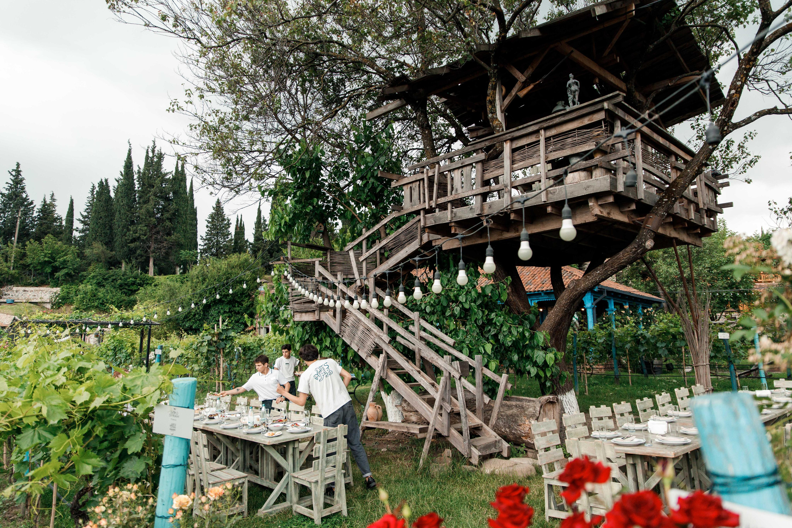 SHUMI WINERY. Georgia, Kakheti. Birthday Miron and Sophia. Фотограф Андрей Баксов