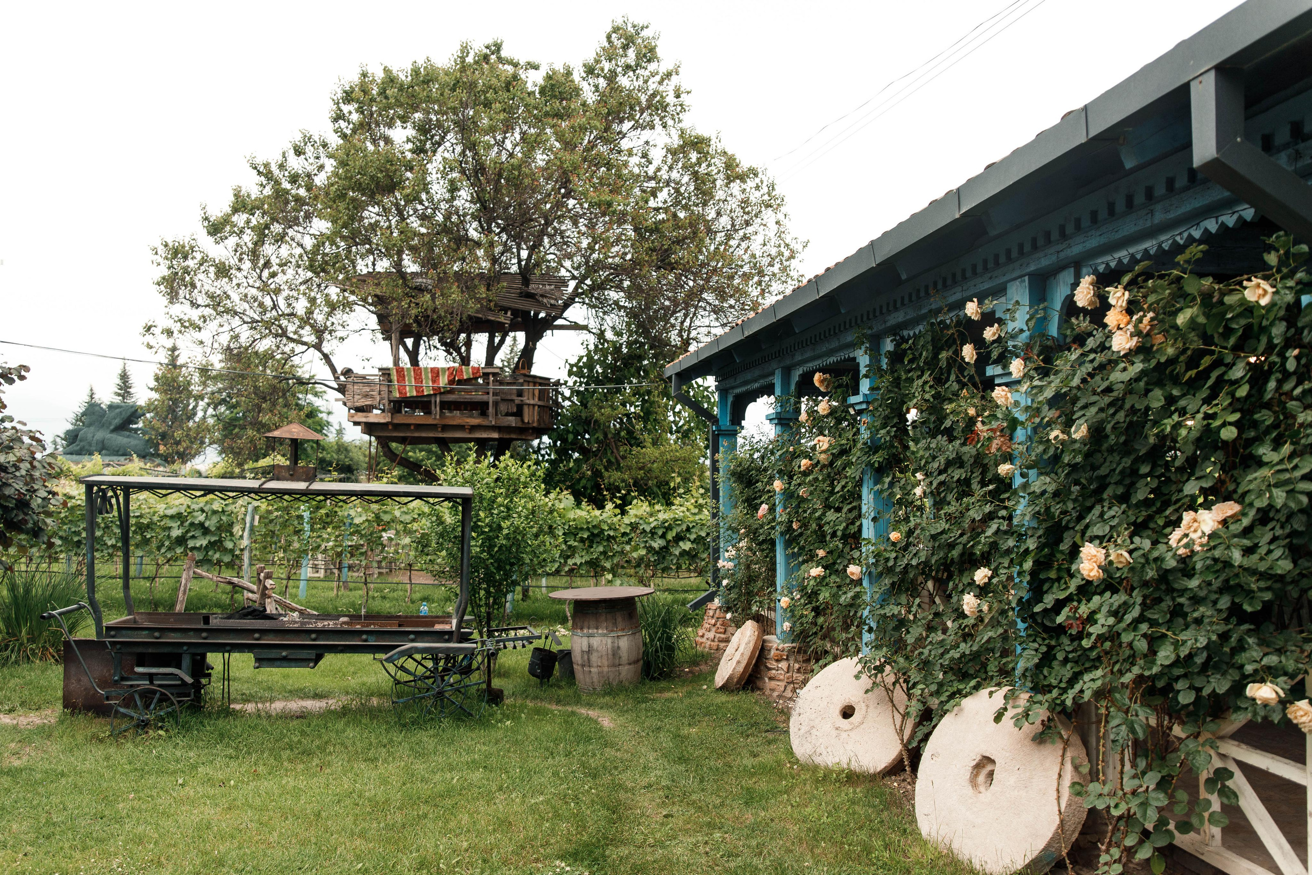 SHUMI WINERY. Georgia, Kakheti. Birthday Miron and Sophia. Фотограф Андрей Баксов