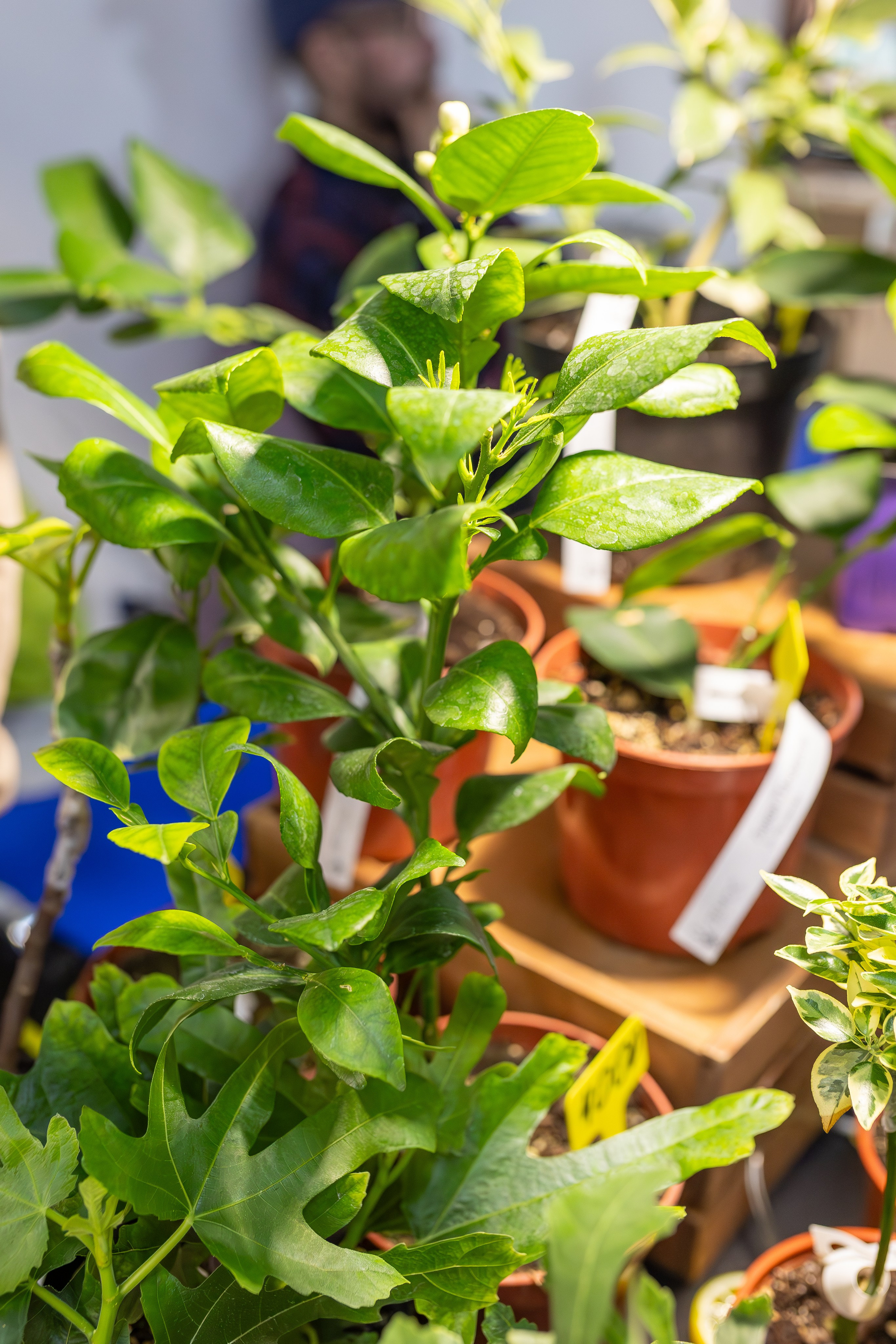 Монстериум апрель 2026. Александра Куликова фотограф, Москва