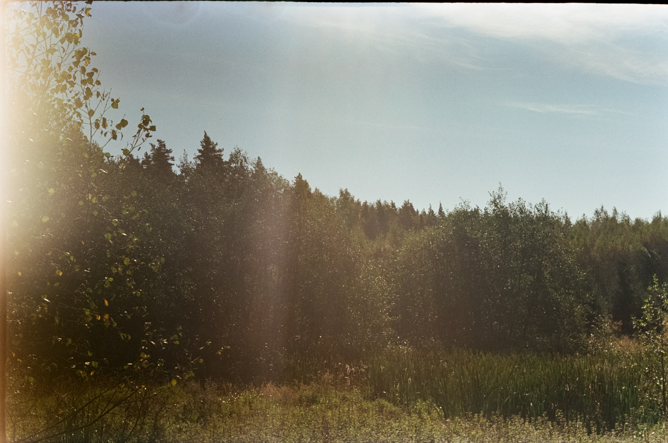 Edixa-MAT REFLEX Mod.D | Carl Zeiss Jena Biotar 58 mm f2 T | SFL 250D