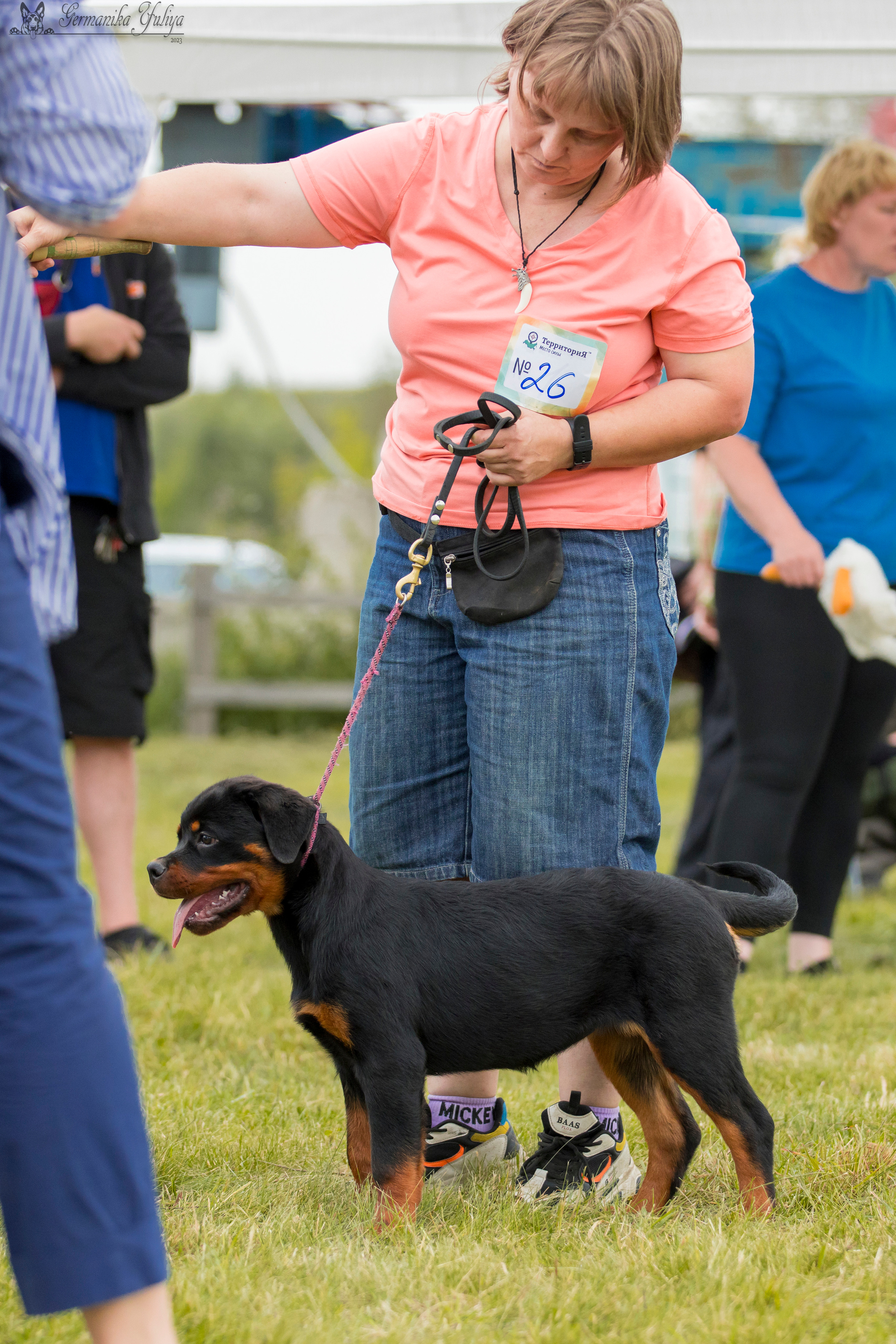Рязань моно ротвейлеров 12.08.2023. Фотограф-анималист Юлия Германика
