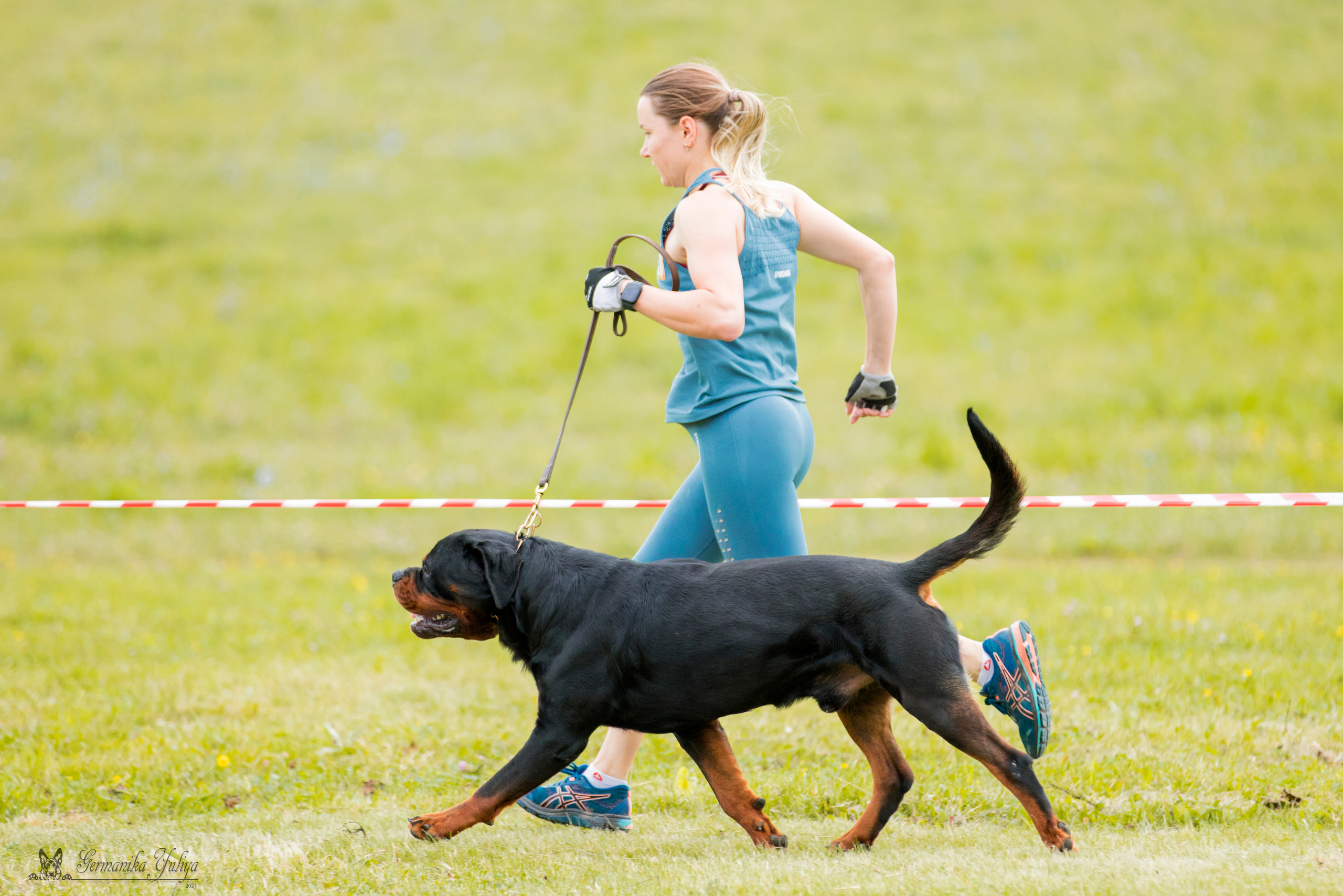 Рязань моно ротвейлеров 12.08.2023. Фотограф-анималист Юлия Германика