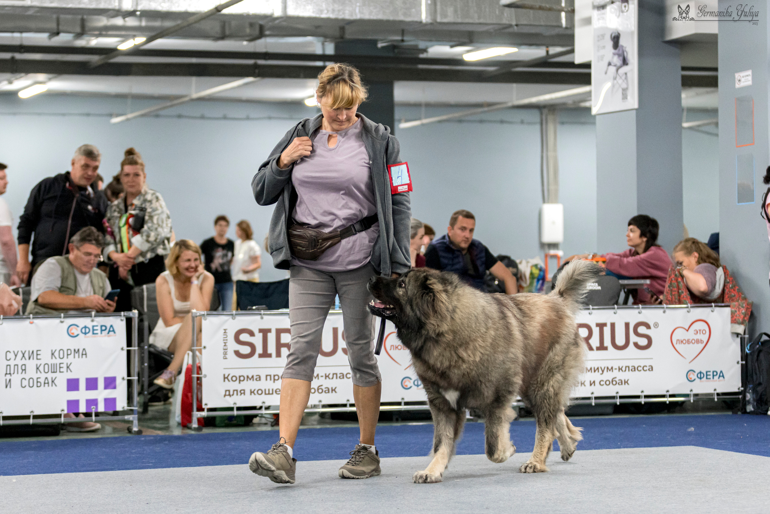 Сфера-Ховрино 29-30.07.2023. Фотограф-анималист Юлия Германика