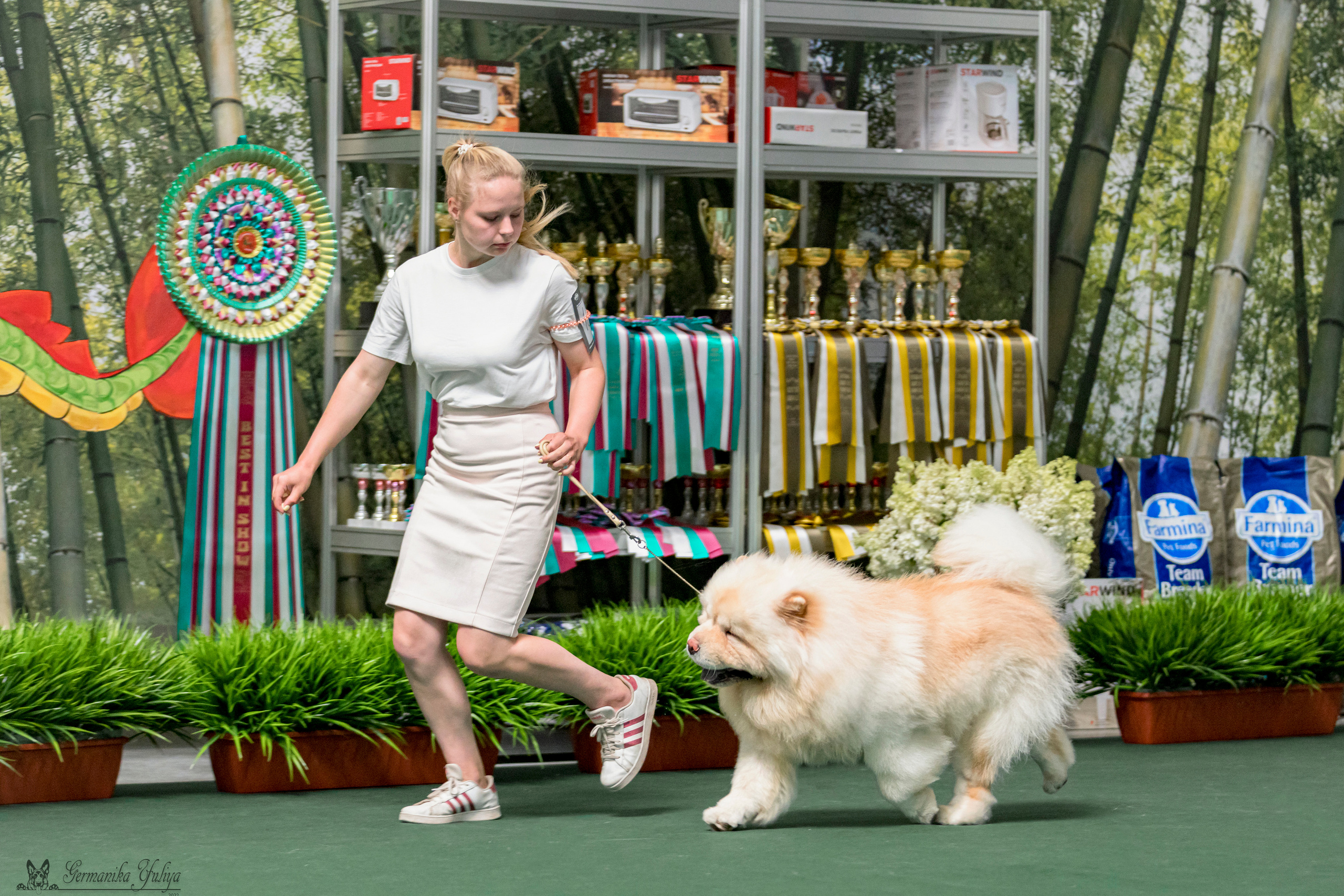 Крокус,Псков 5-6.08.2023. Фотограф-анималист Юлия Германика