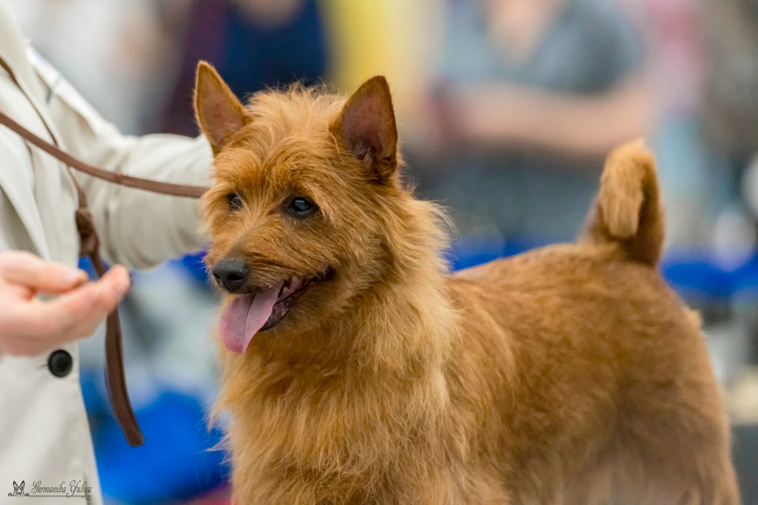 Питер 2-3.09.2023. Фотограф-анималист Юлия Германика