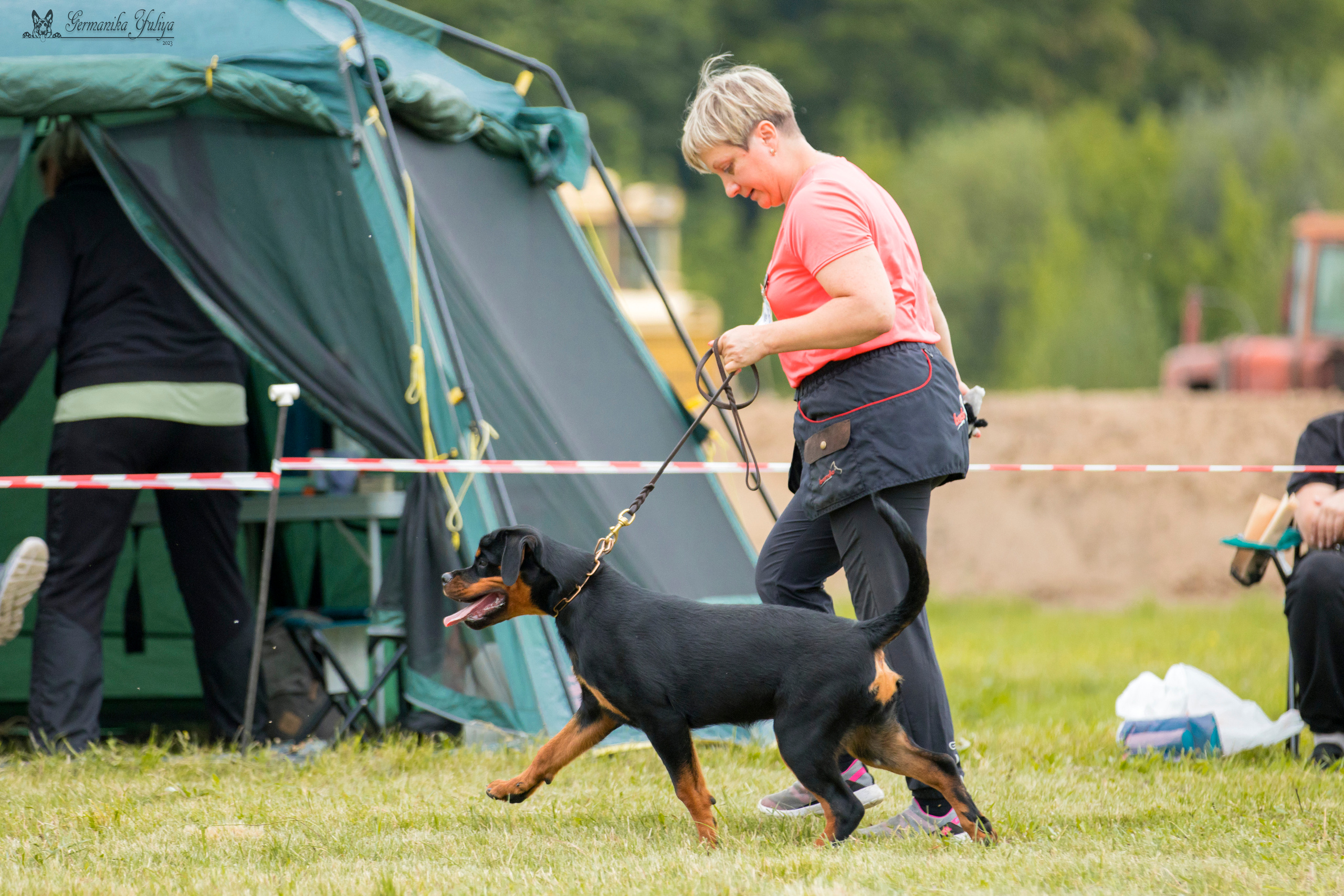 Рязань моно ротвейлеров 12.08.2023. Фотограф-анималист Юлия Германика