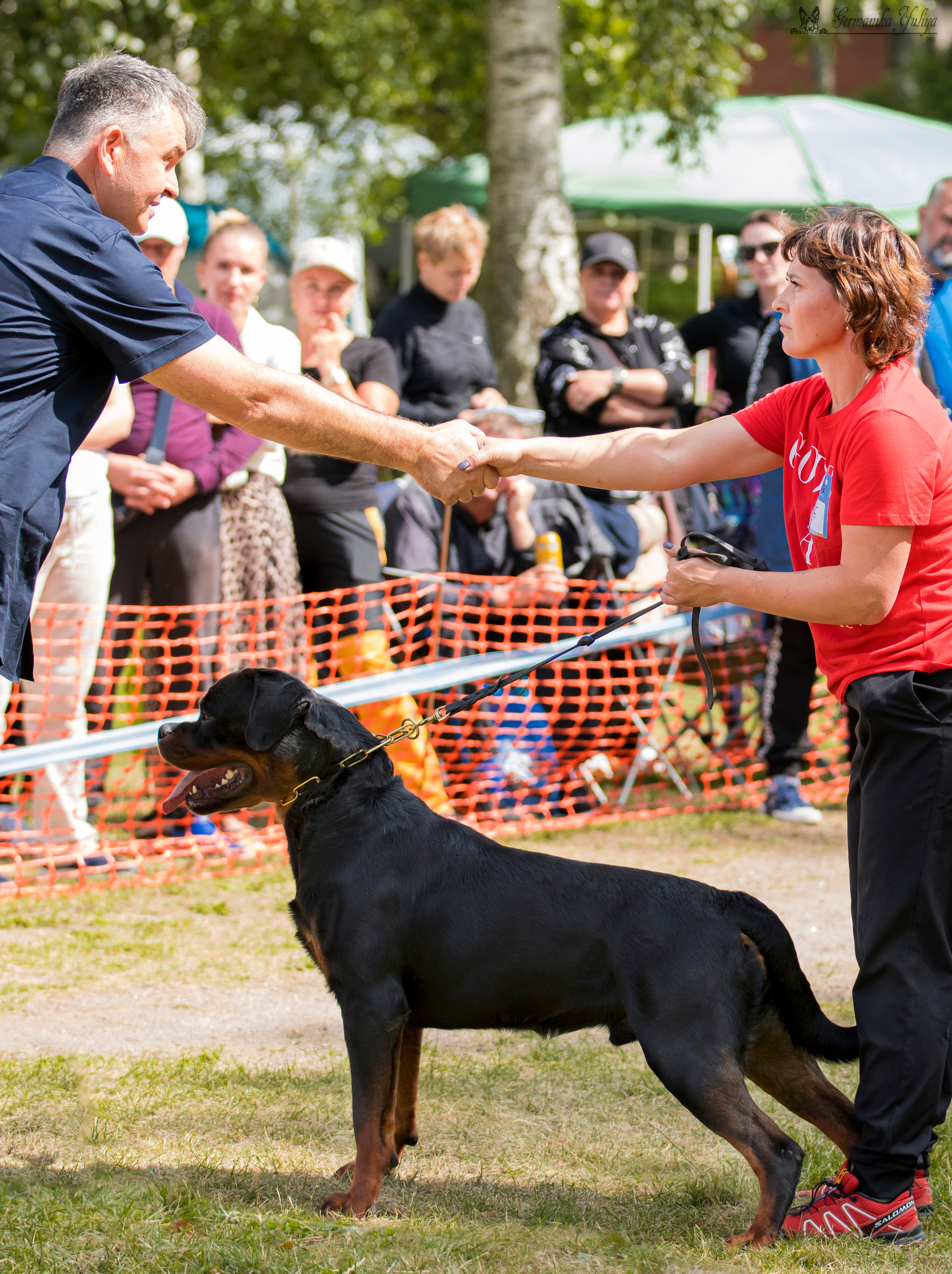 ПК и КЧК ротвейлеров Питер 22-23.07.2023. Фотограф-анималист Юлия Германика