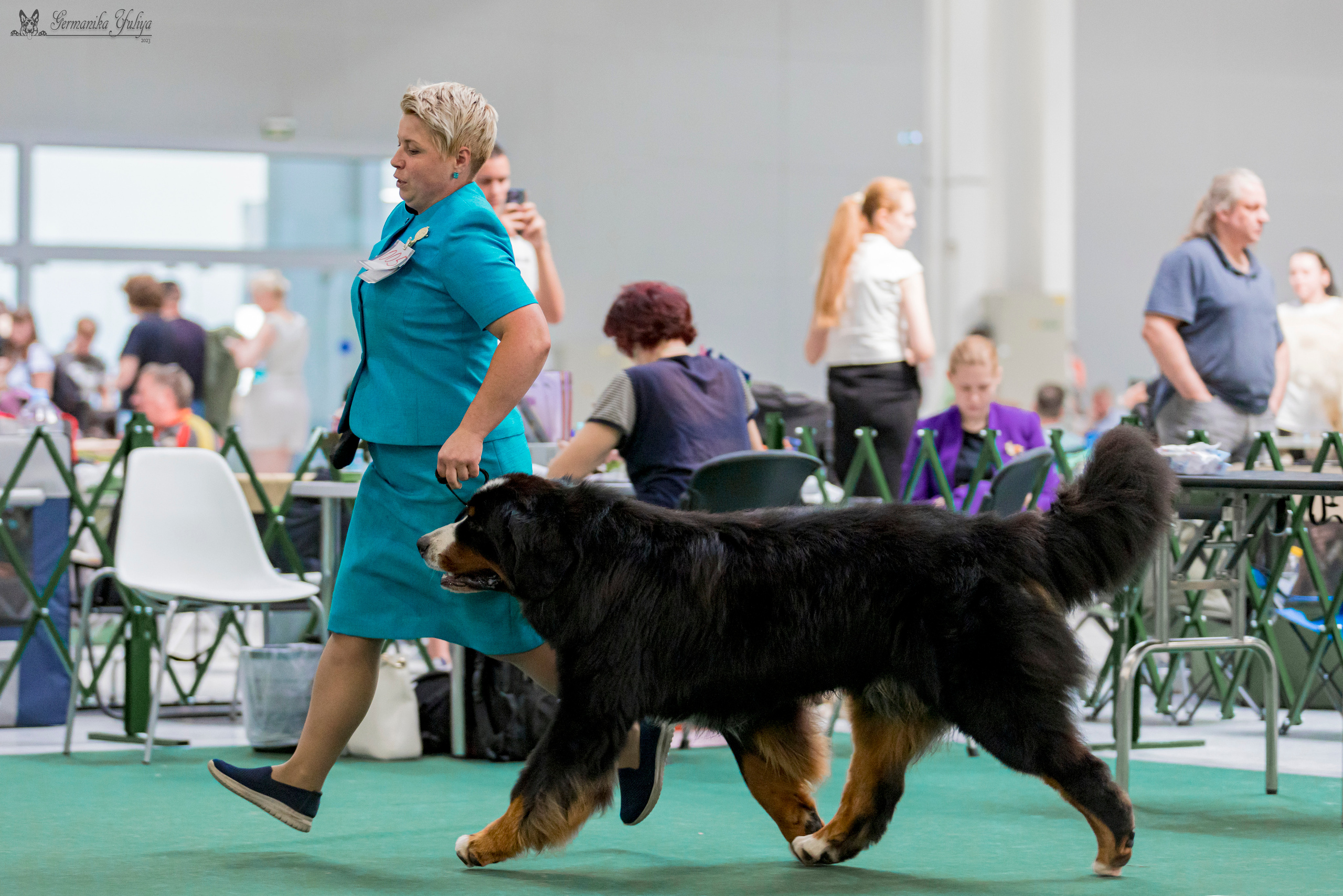 Крокус,Псков 5-6.08.2023. Фотограф-анималист Юлия Германика