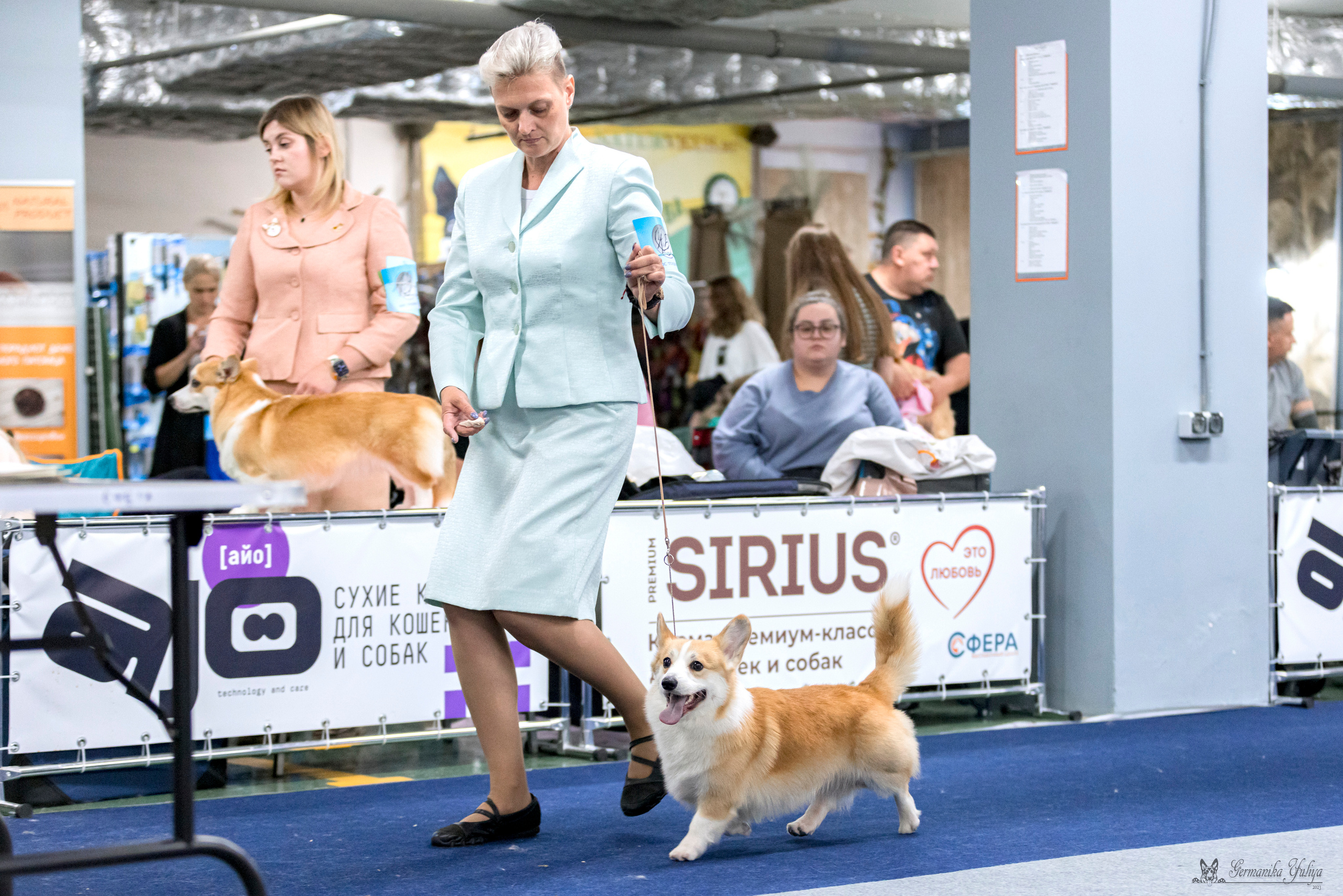 Сфера-Ховрино 29-30.07.2023. Фотограф-анималист Юлия Германика