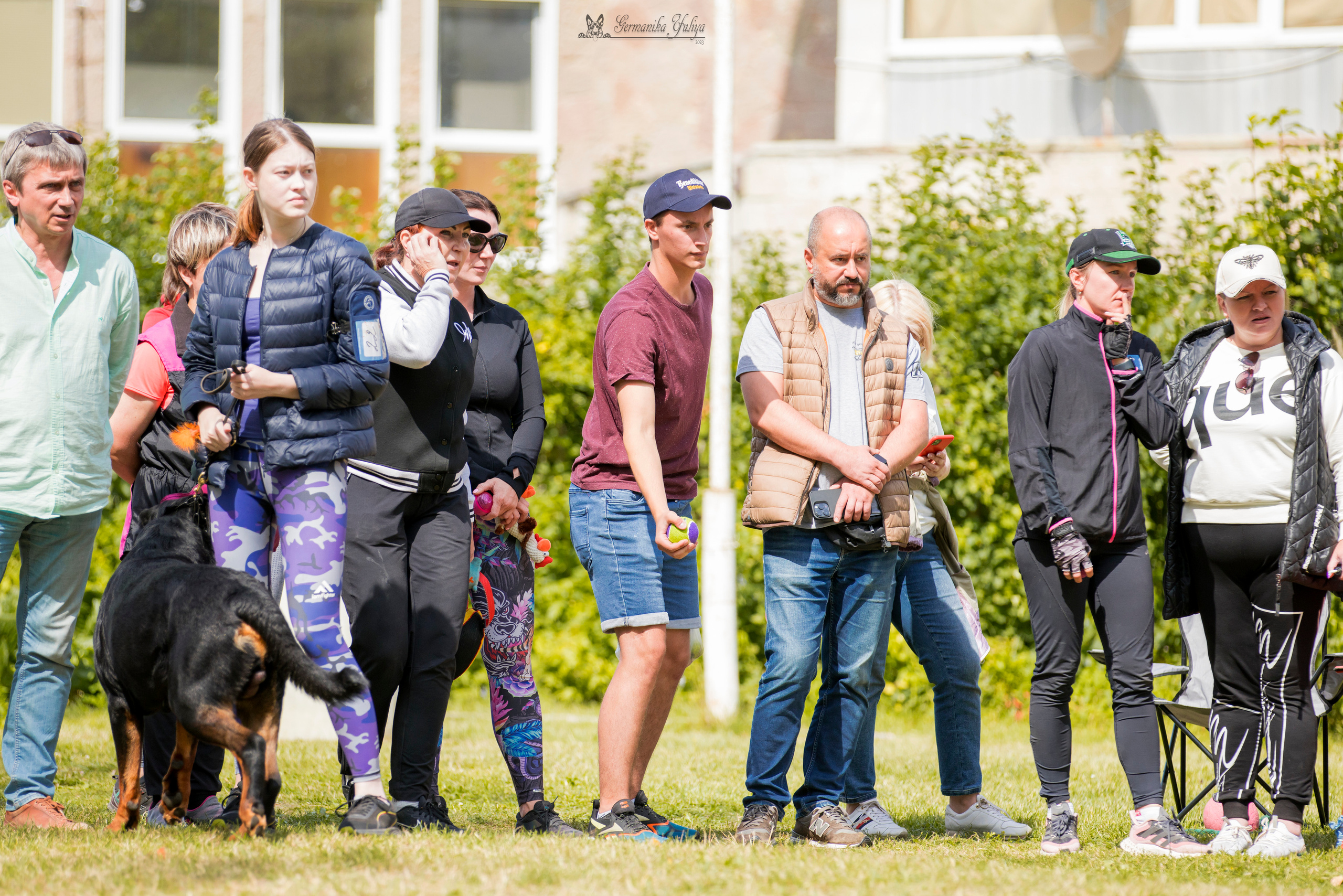 ПК и КЧК ротвейлеров Питер 22-23.07.2023. Фотограф-анималист Юлия Германика