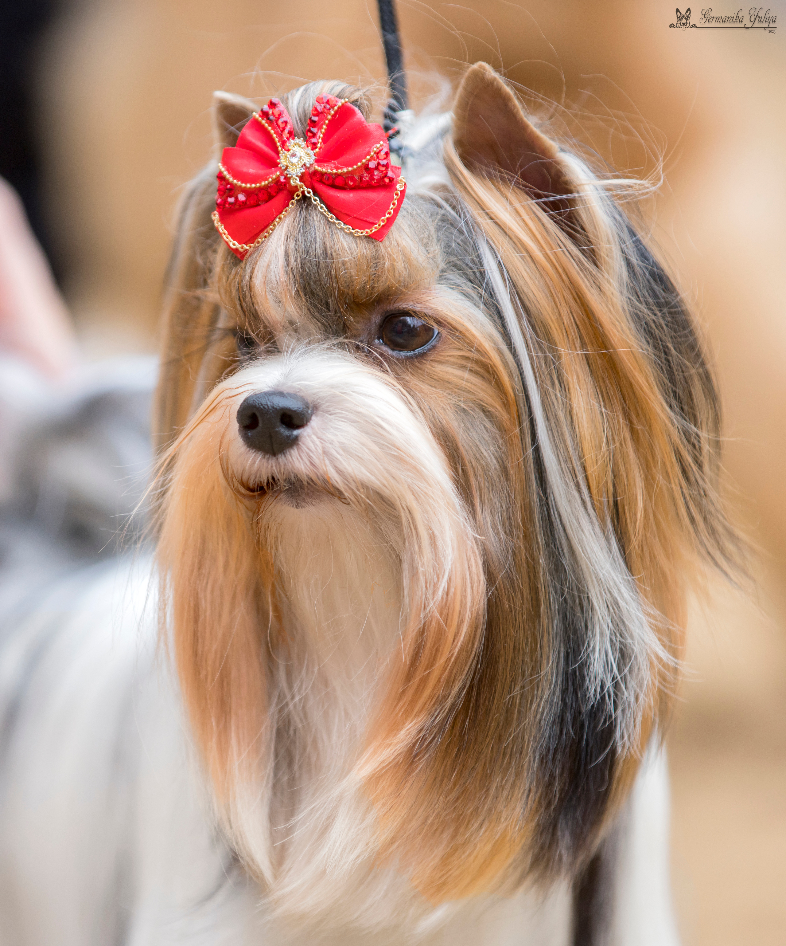 Ховрино 26.08.2023