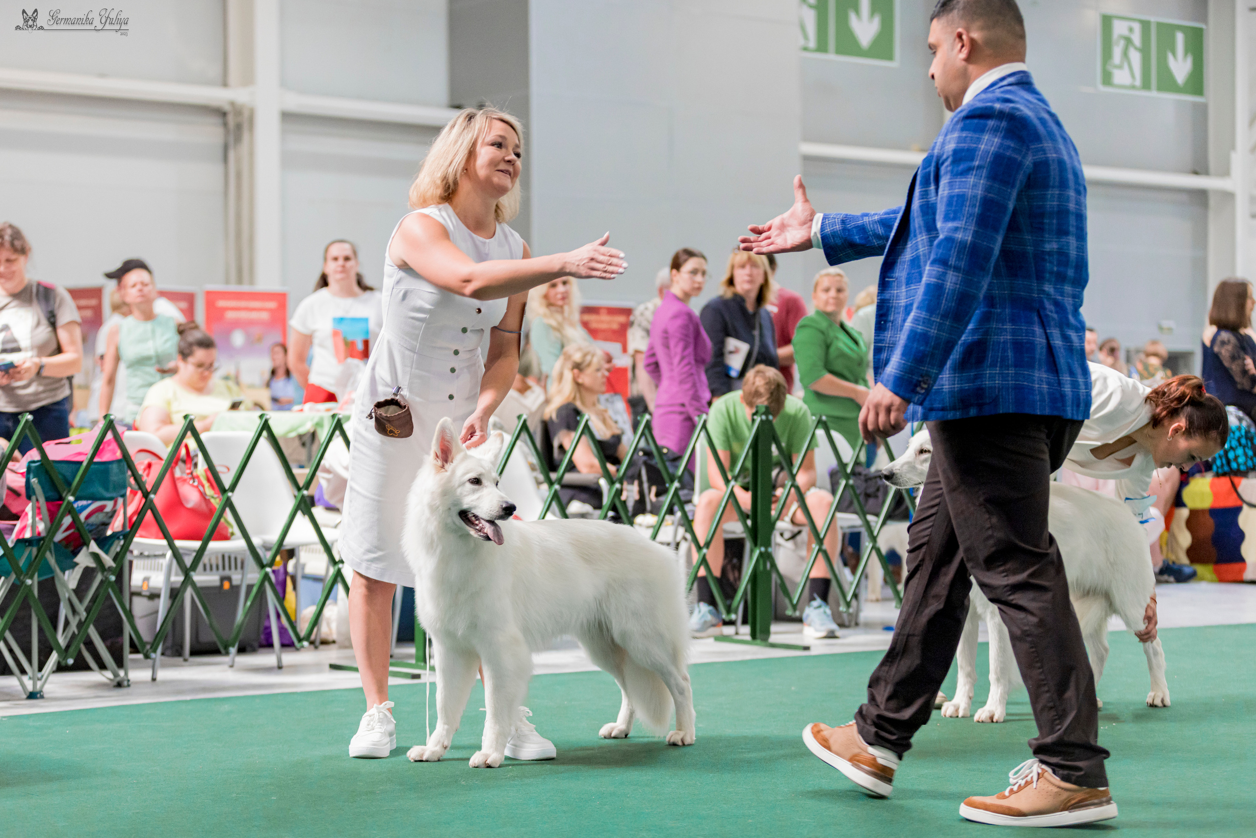 Крокус,Псков 5-6.08.2023. Фотограф-анималист Юлия Германика