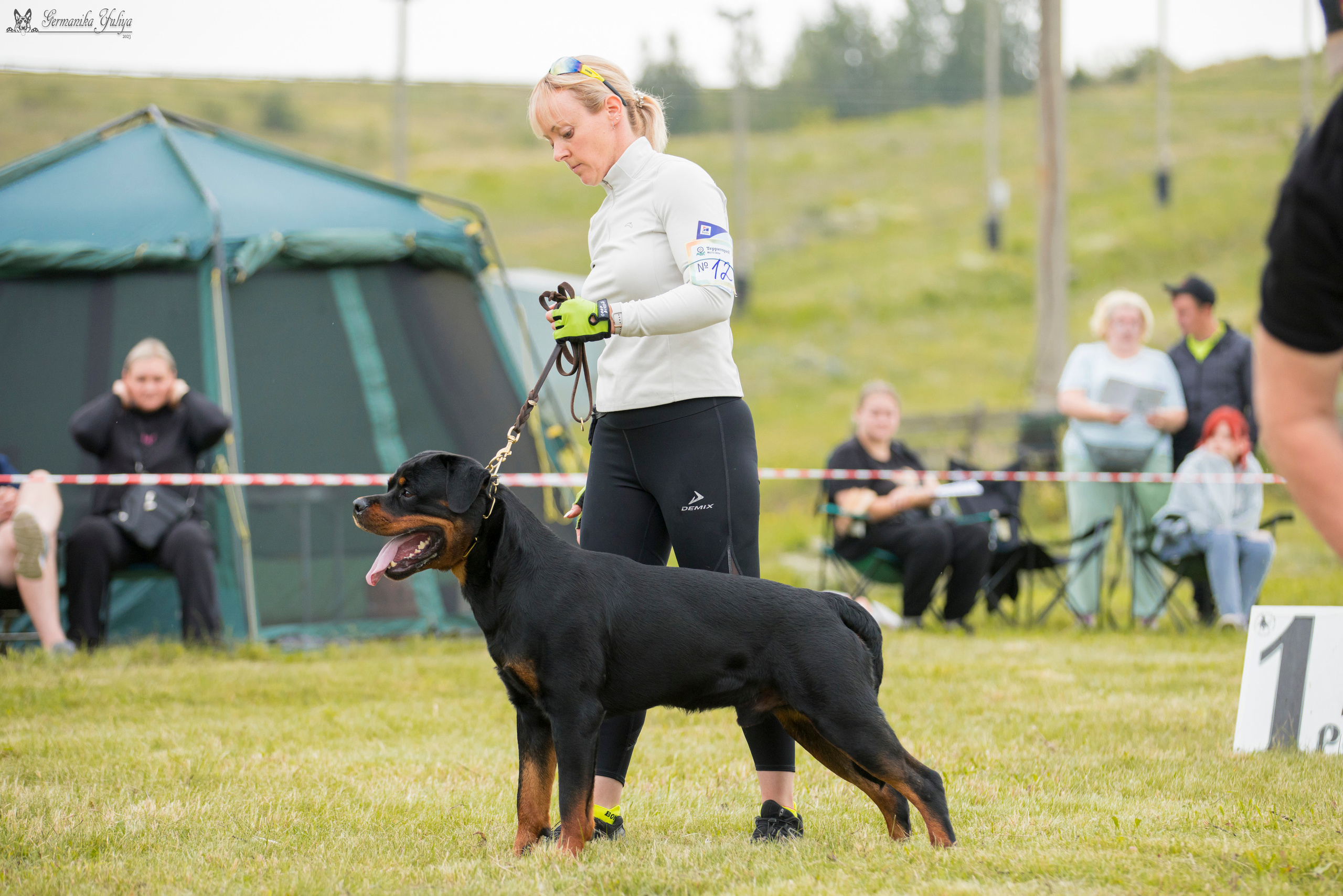 Рязань моно ротвейлеров 12.08.2023. Фотограф-анималист Юлия Германика