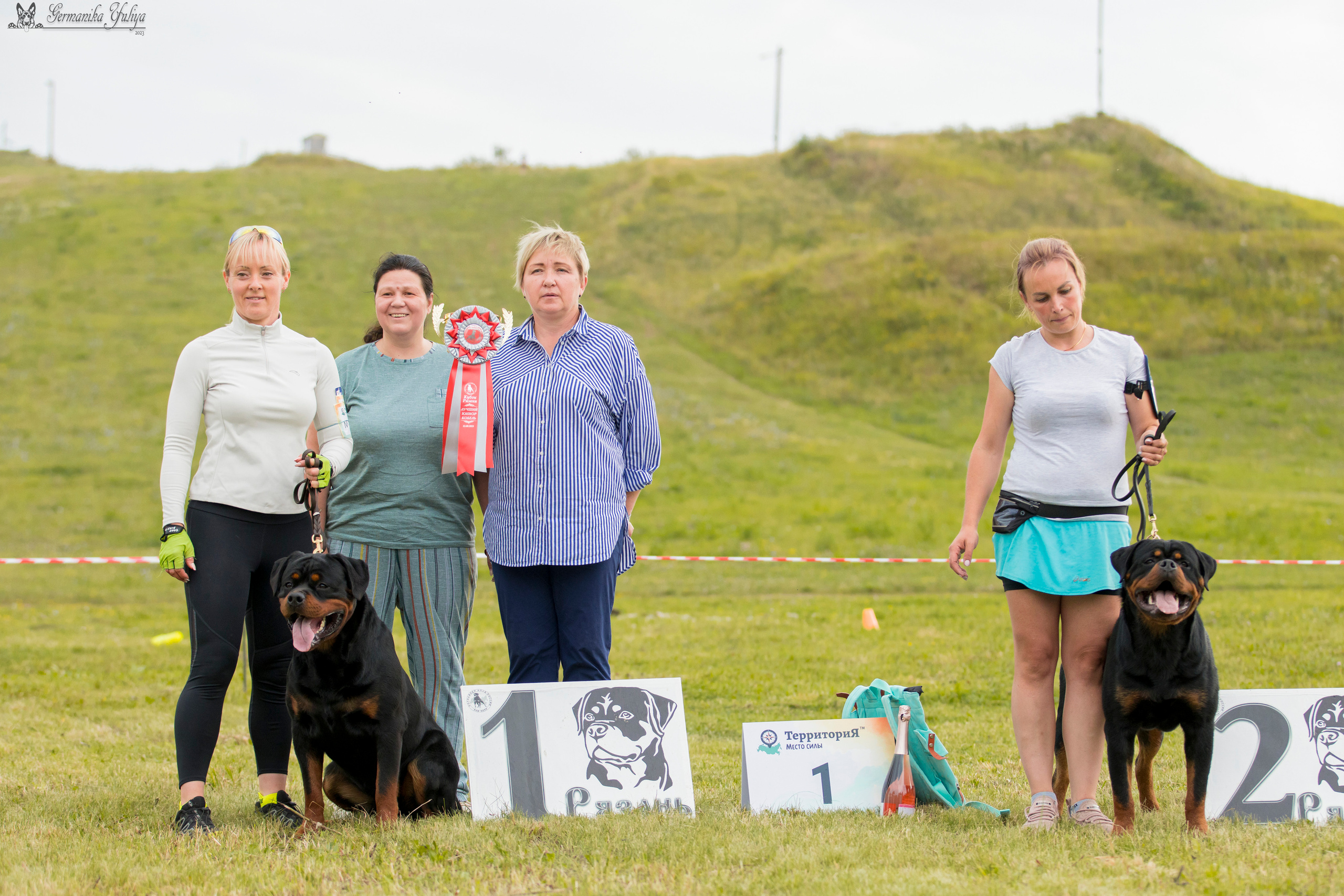 Рязань моно ротвейлеров 12.08.2023. Фотограф-анималист Юлия Германика