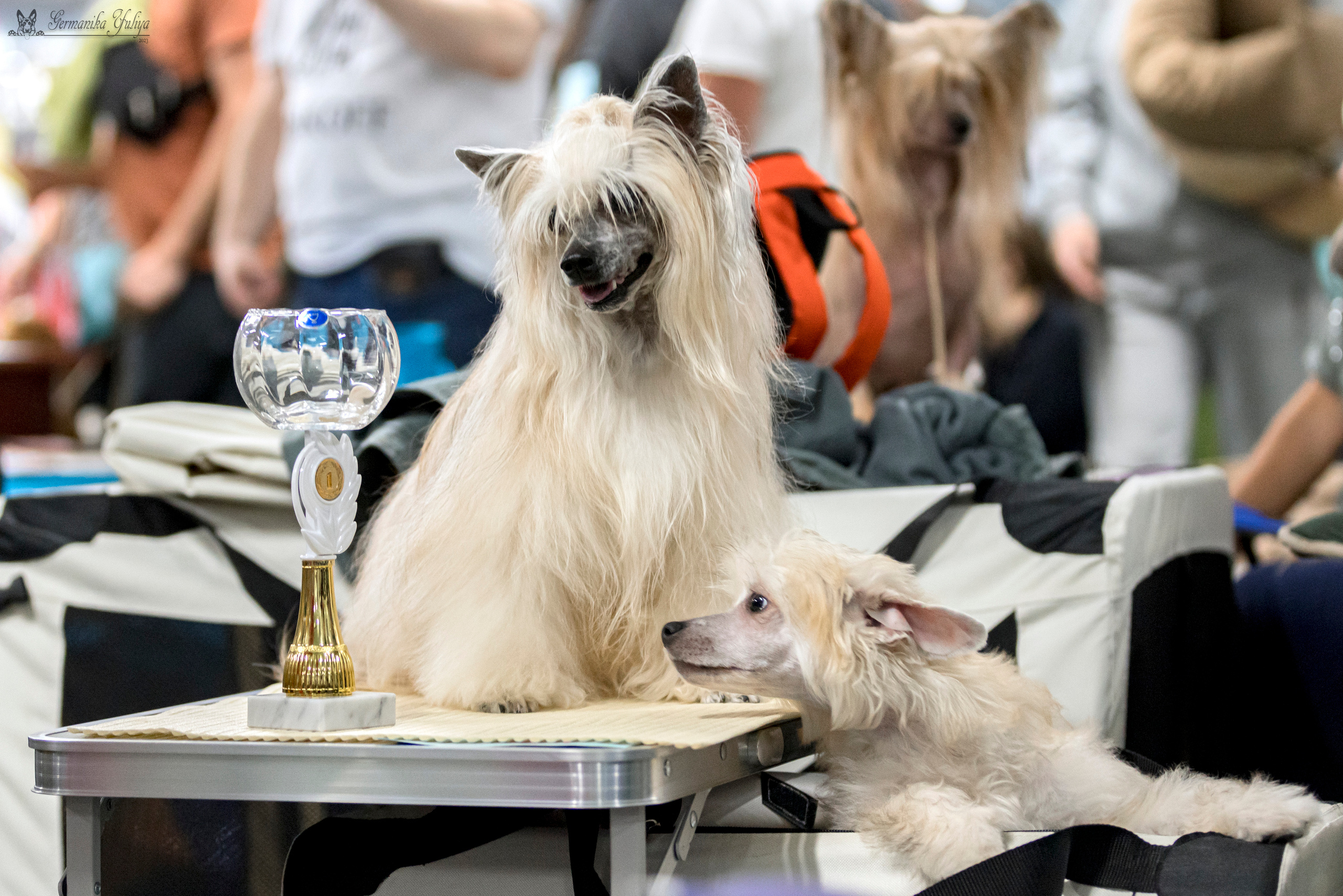 Сфера-Ховрино 29-30.07.2023. Фотограф-анималист Юлия Германика