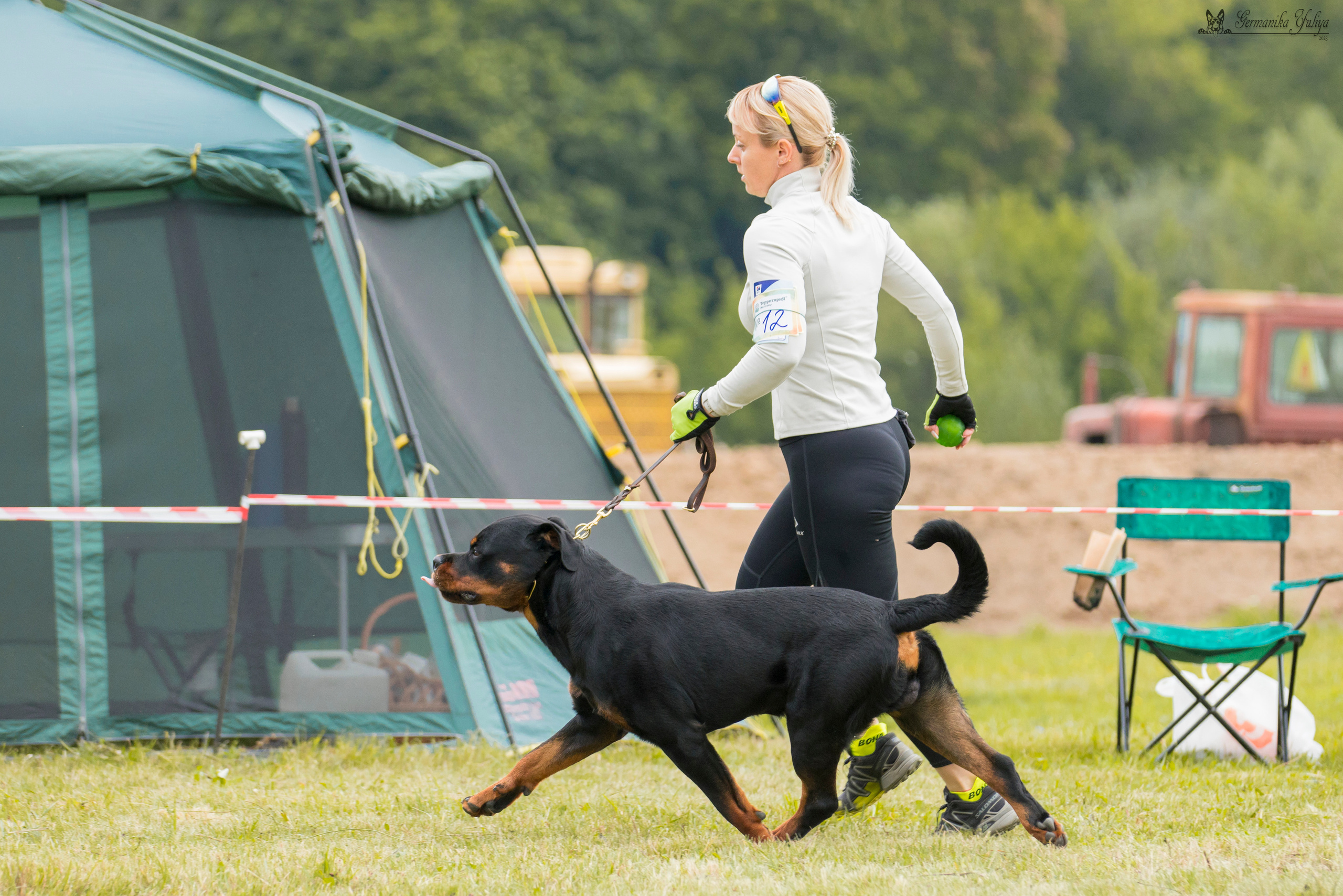 Рязань моно ротвейлеров 12.08.2023. Фотограф-анималист Юлия Германика
