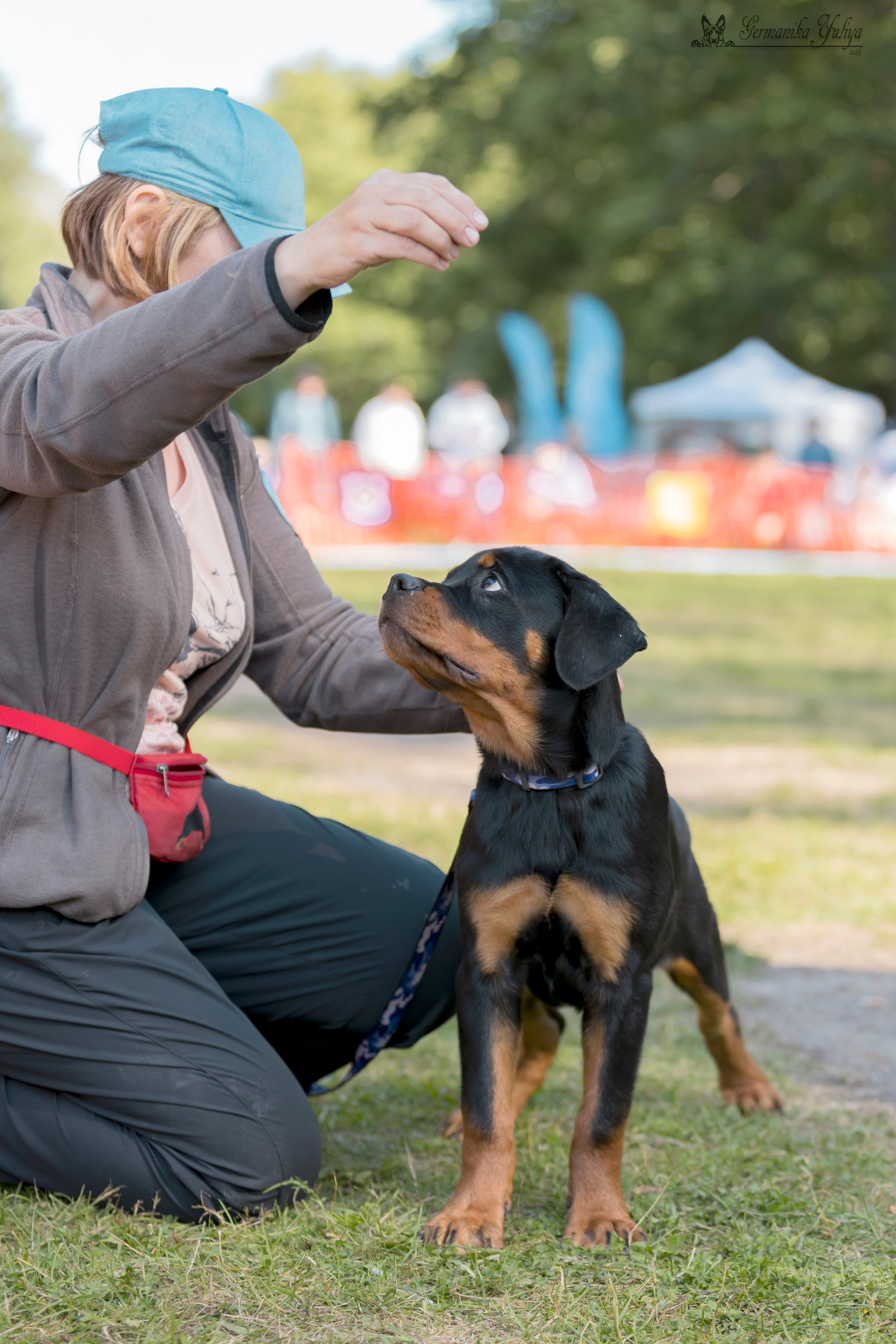 ПК и КЧК ротвейлеров Питер 22-23.07.2023. Фотограф-анималист Юлия Германика