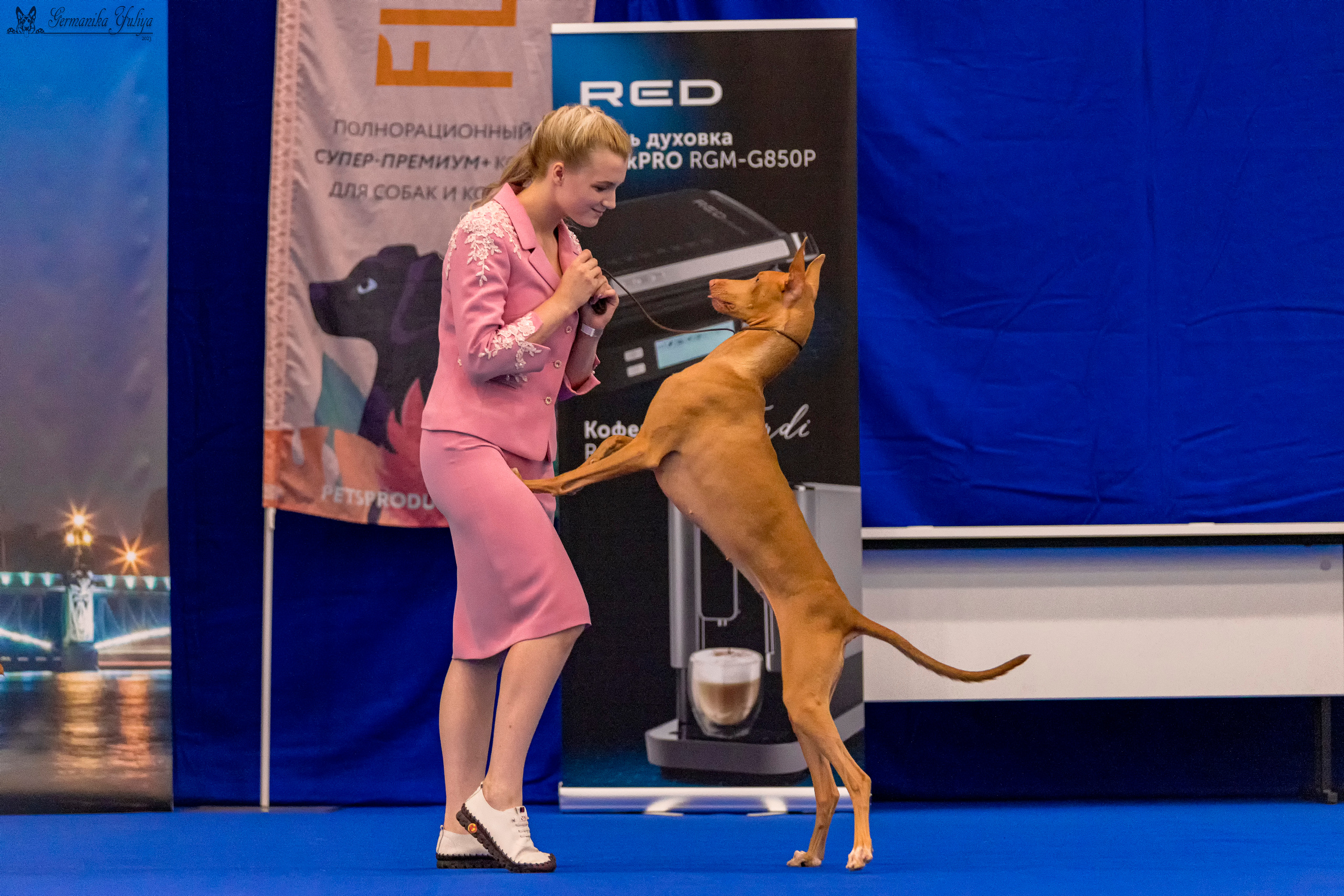 Питер 2-3.09.2023. Фотограф-анималист Юлия Германика