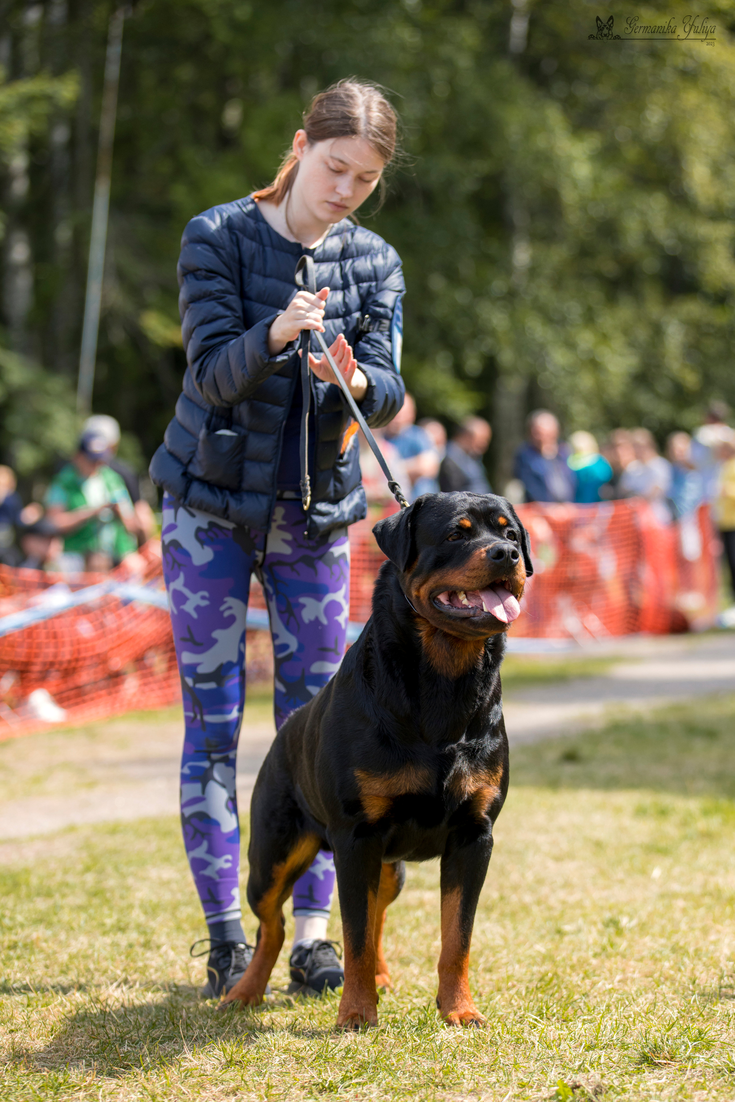 ПК и КЧК ротвейлеров Питер 22-23.07.2023. Фотограф-анималист Юлия Германика