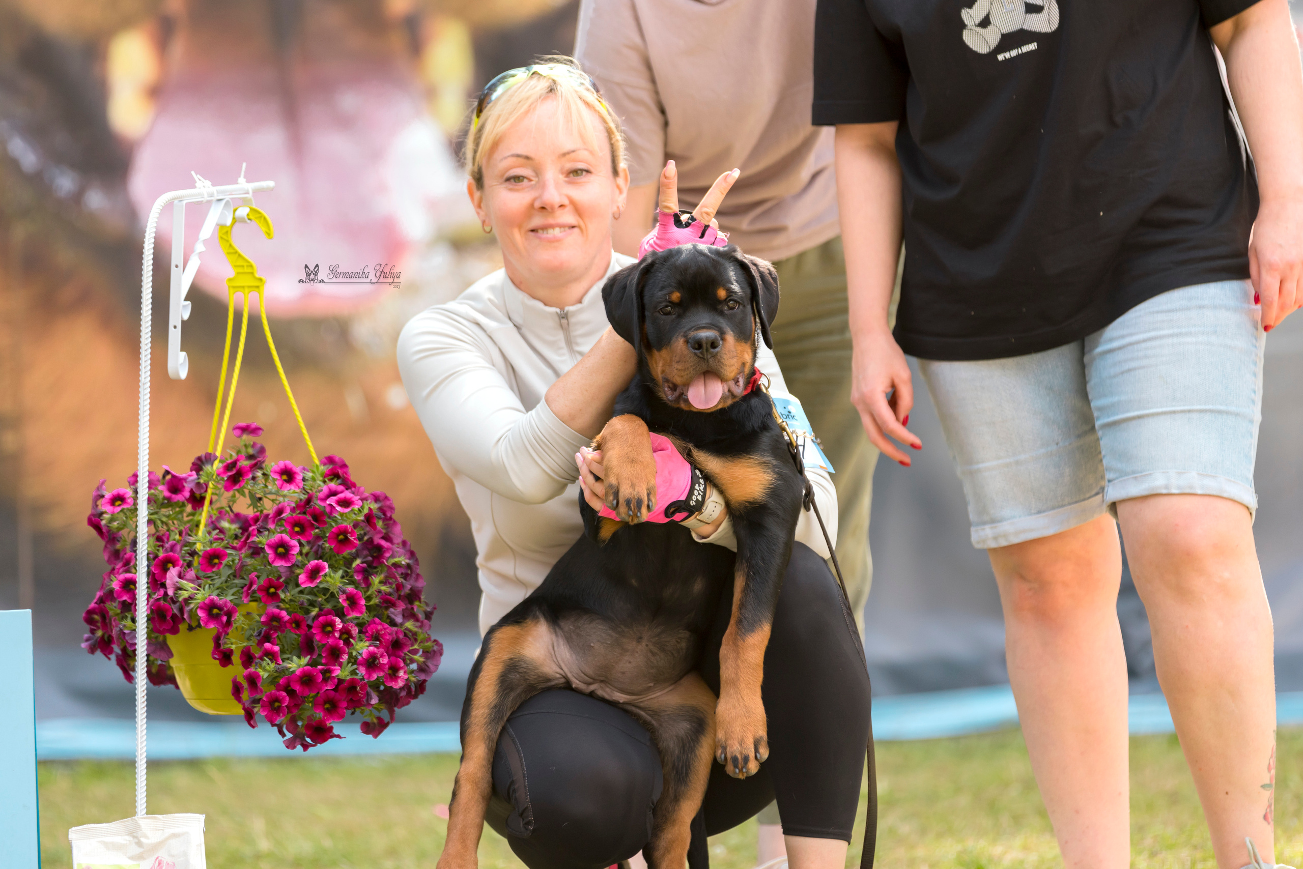ПК и КЧК ротвейлеров Питер 22-23.07.2023. Фотограф-анималист Юлия Германика
