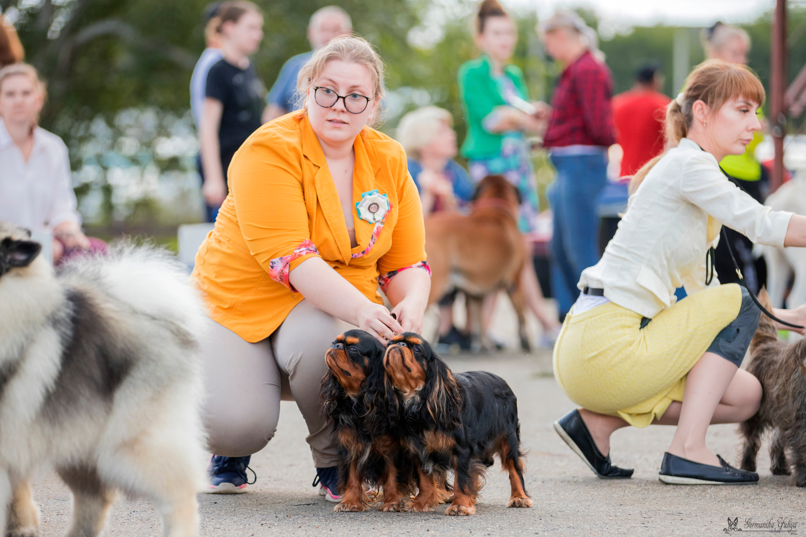 Рязань 12.08.и Пушкино 19.08.2023. Фотограф-анималист Юлия Германика