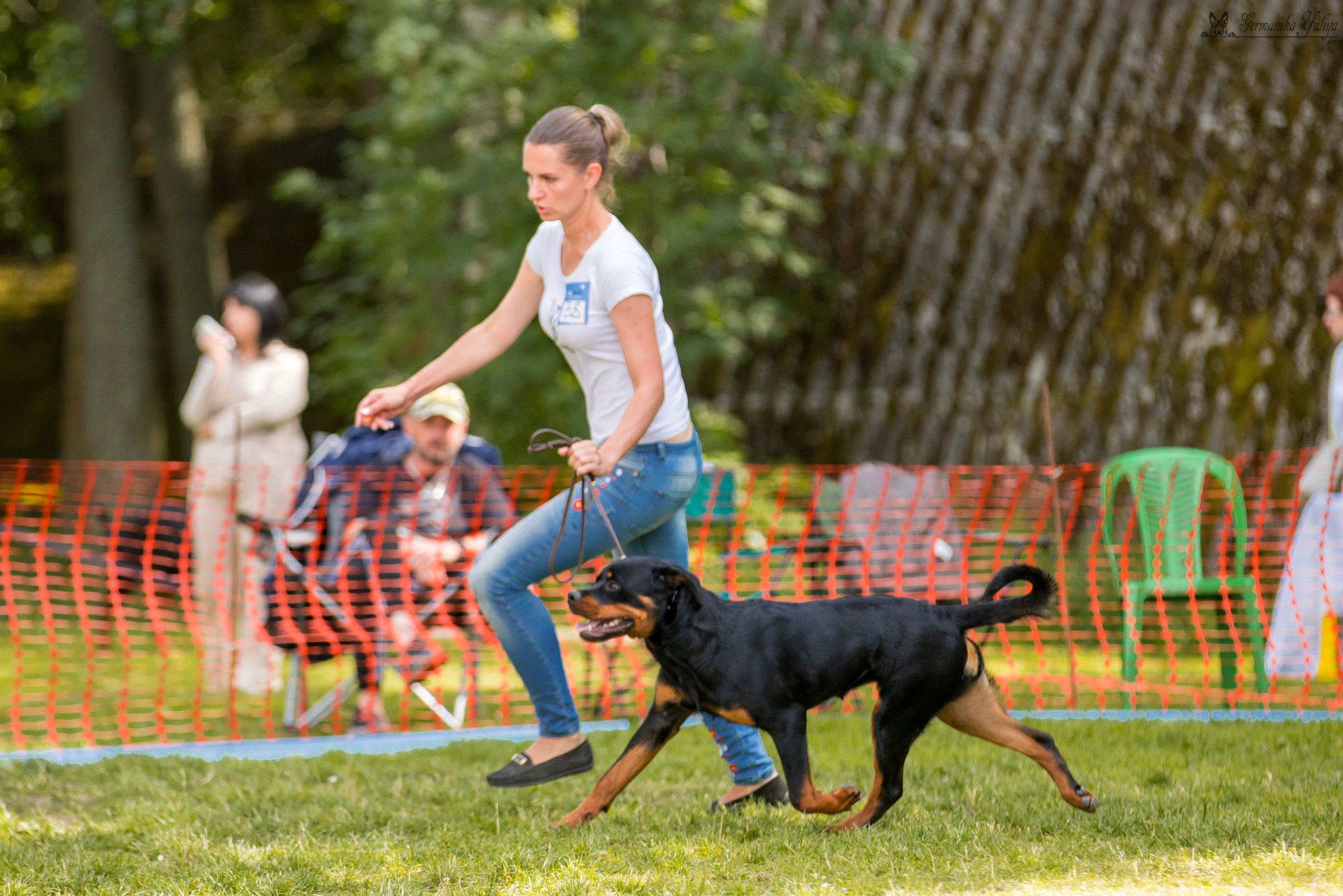 ПК и КЧК ротвейлеров Питер 22-23.07.2023. Фотограф-анималист Юлия Германика