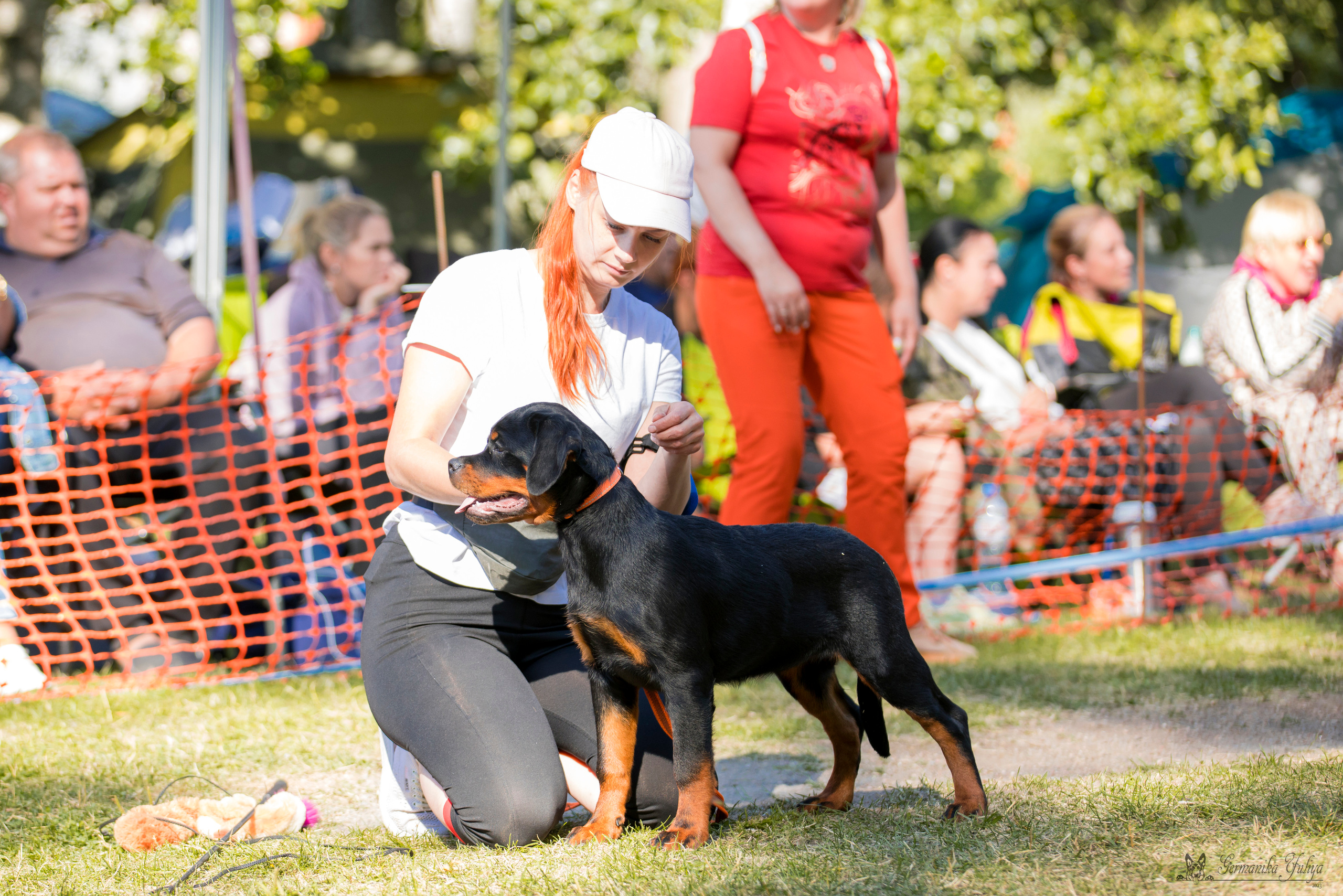 ПК и КЧК ротвейлеров Питер 22-23.07.2023. Фотограф-анималист Юлия Германика