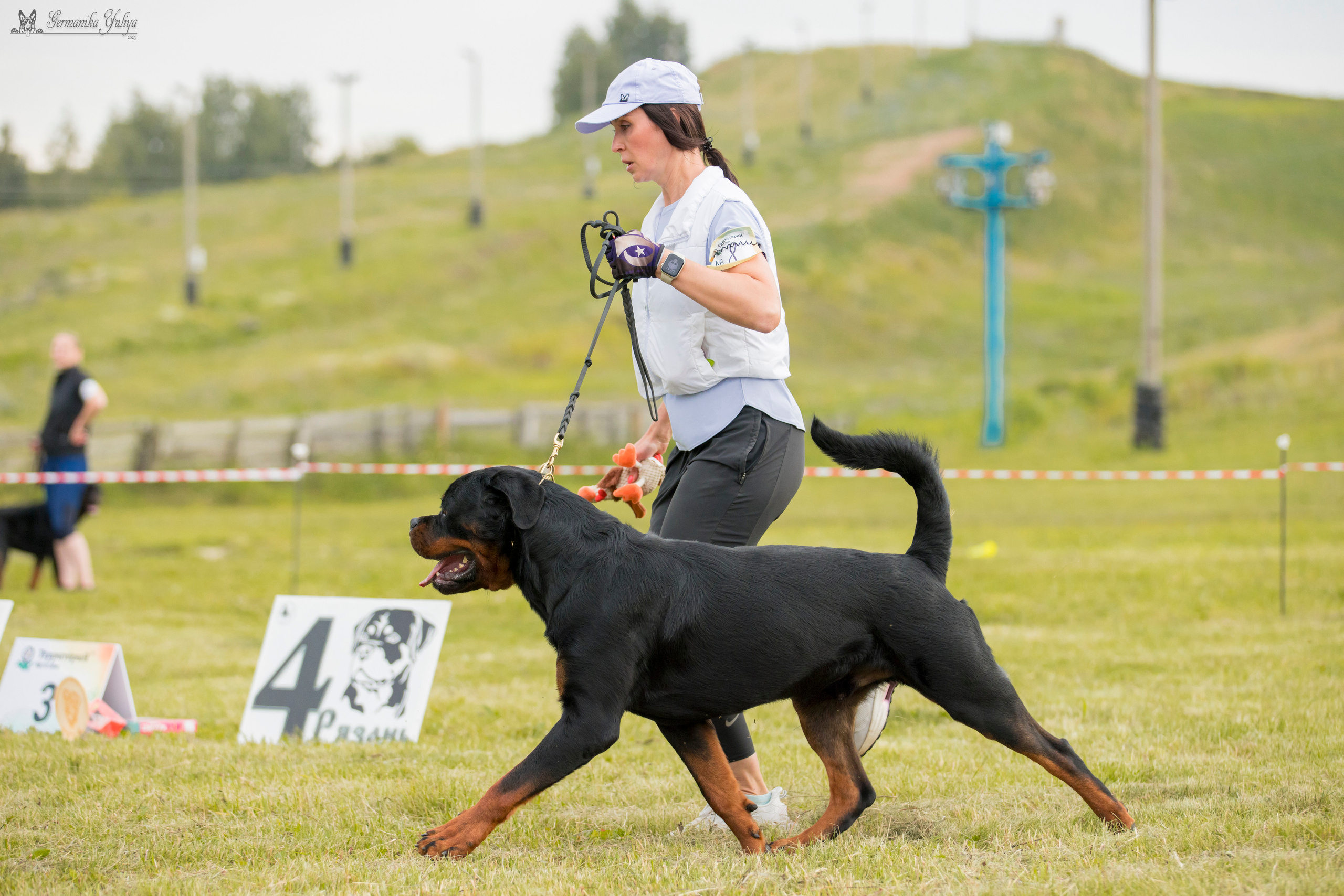 Рязань моно ротвейлеров 12.08.2023. Фотограф-анималист Юлия Германика