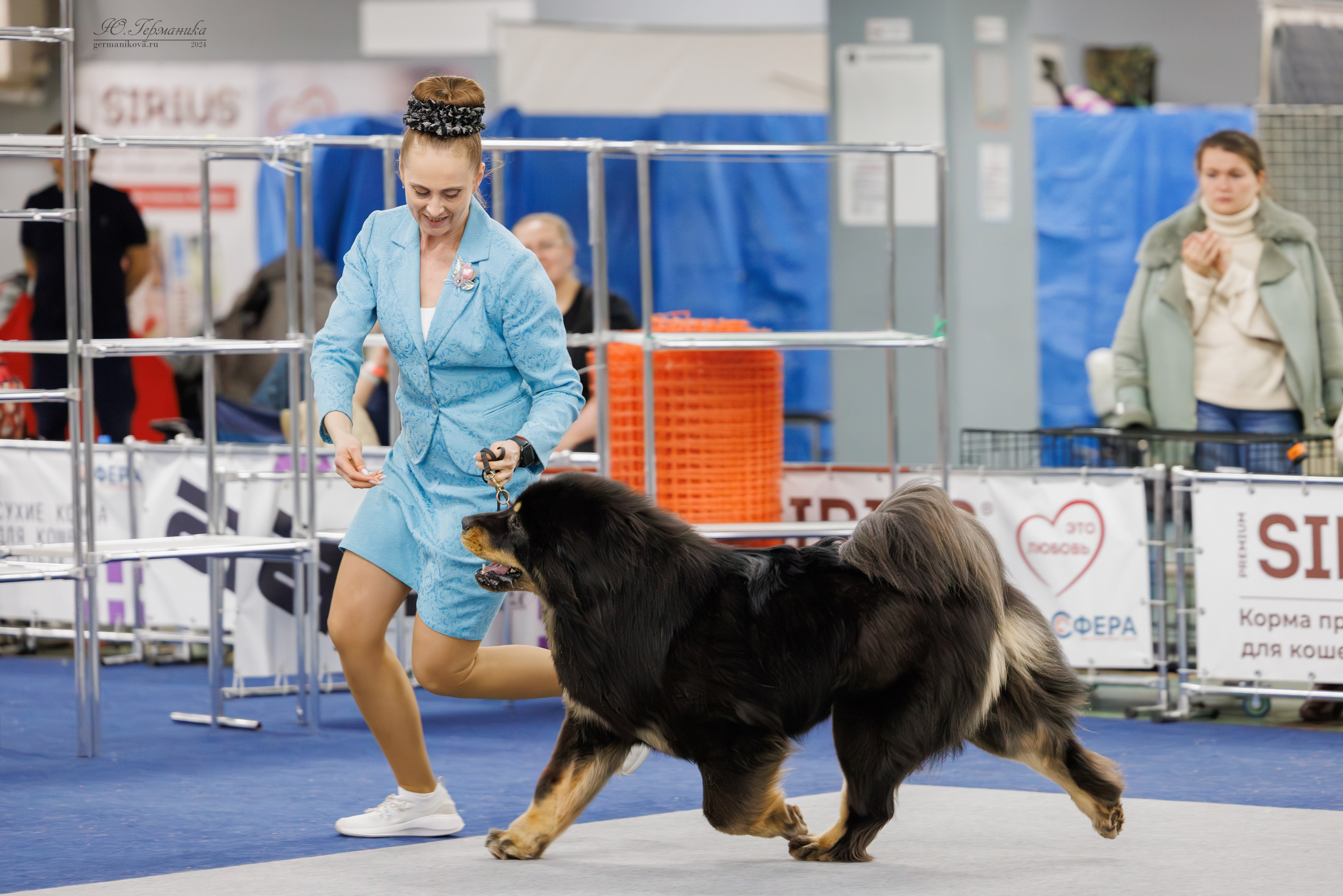 Сфера и Крокус 8,9,16 и 30.03.2025. Фотограф-анималист Юлия Германика