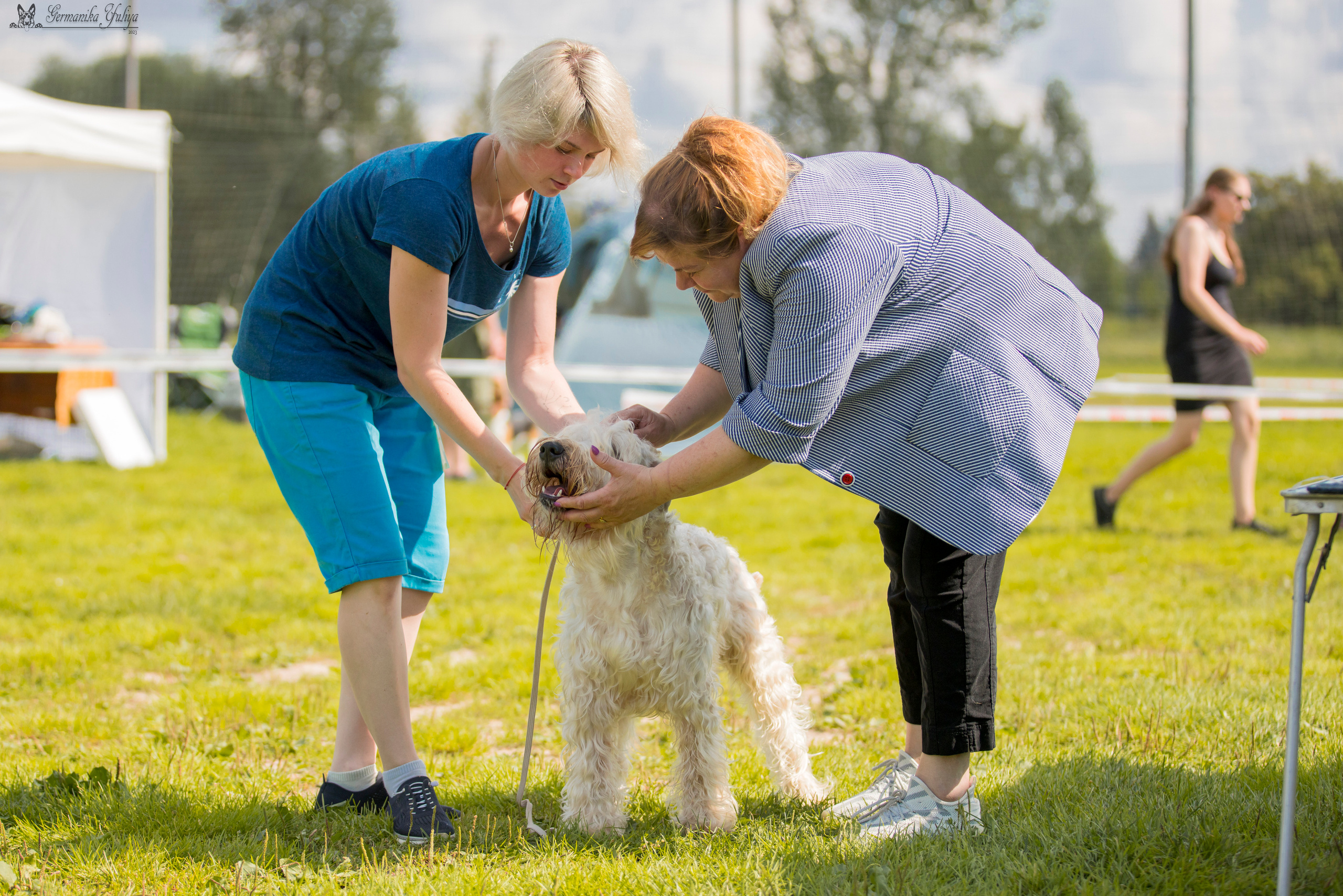 Рязань 12.08.и Пушкино 19.08.2023. Фотограф-анималист Юлия Германика
