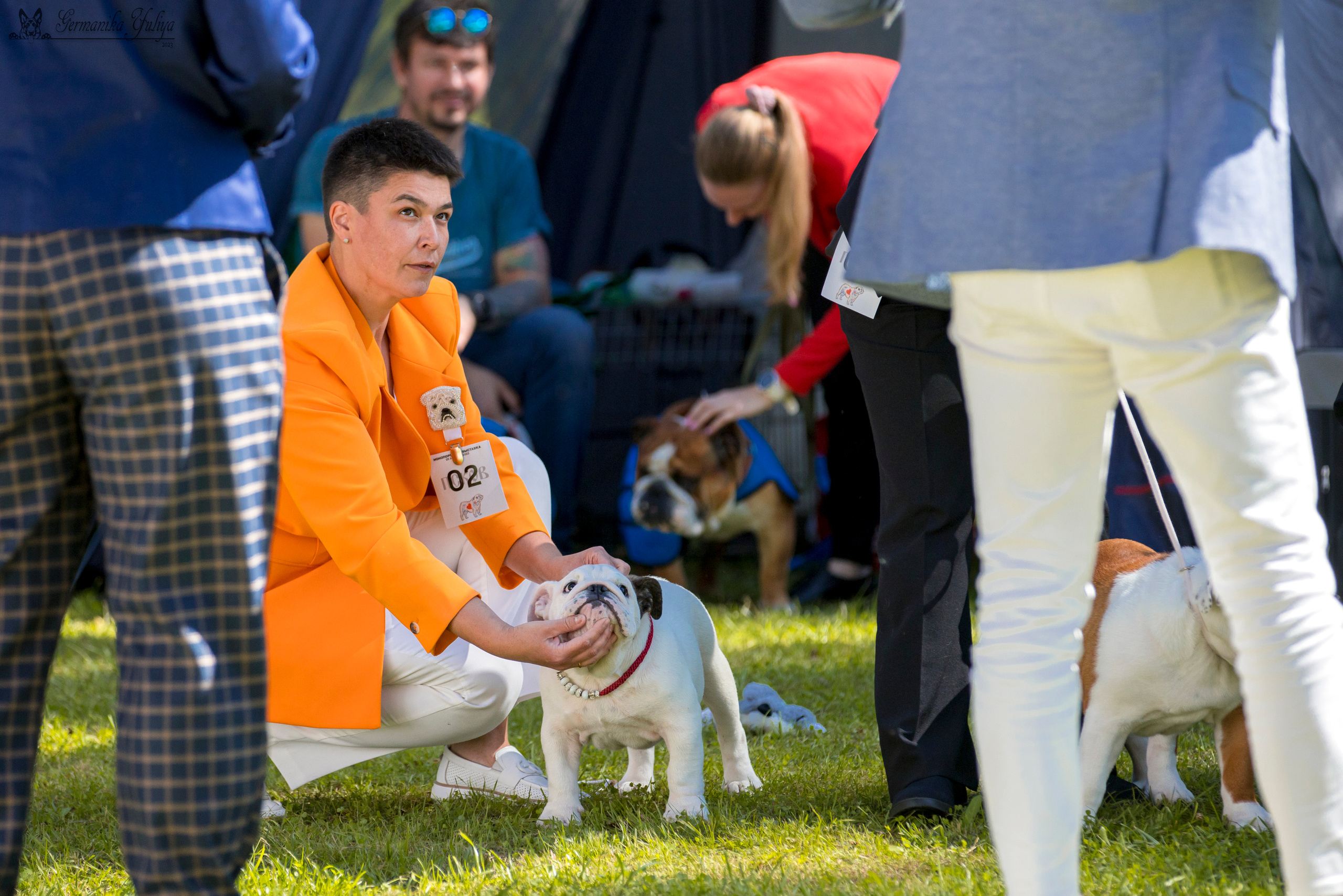 Крокус,Псков 5-6.08.2023. Фотограф-анималист Юлия Германика