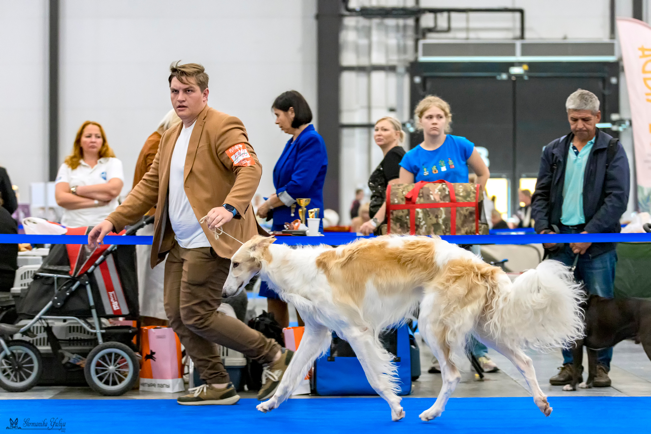 Питер 2-3.09.2023. Фотограф-анималист Юлия Германика