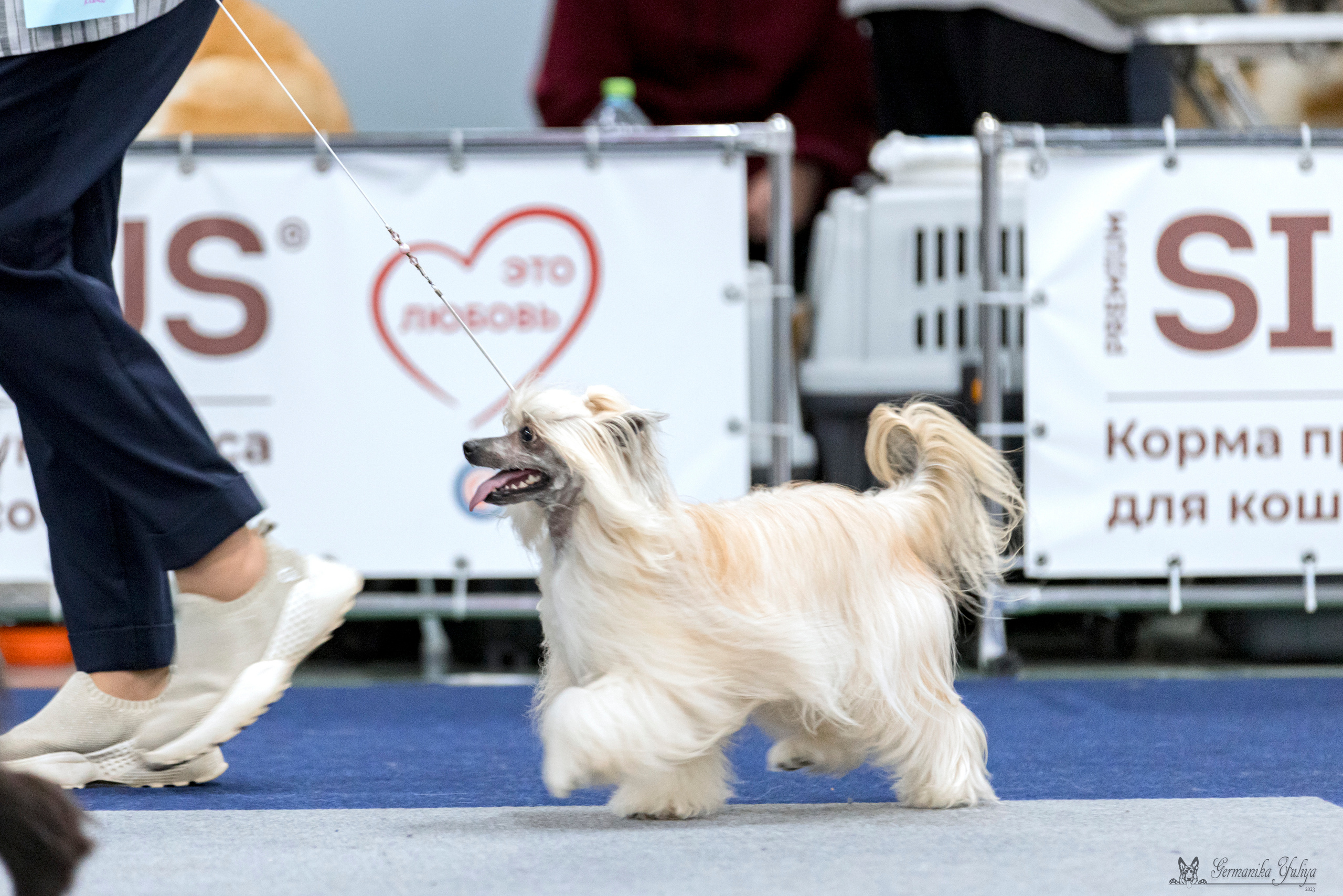 Сфера-Ховрино 29-30.07.2023. Фотограф-анималист Юлия Германика