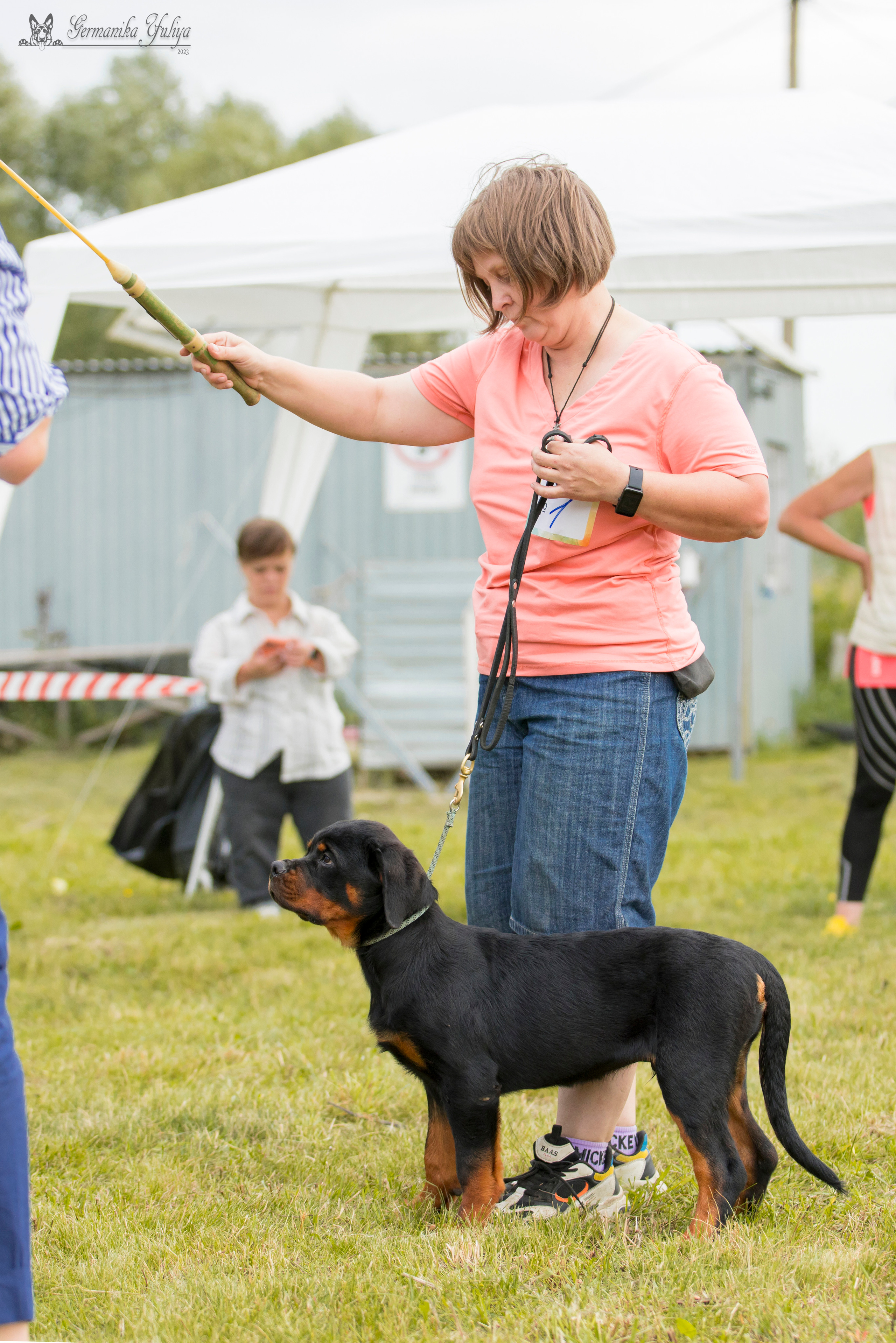 Рязань моно ротвейлеров 12.08.2023. Фотограф-анималист Юлия Германика