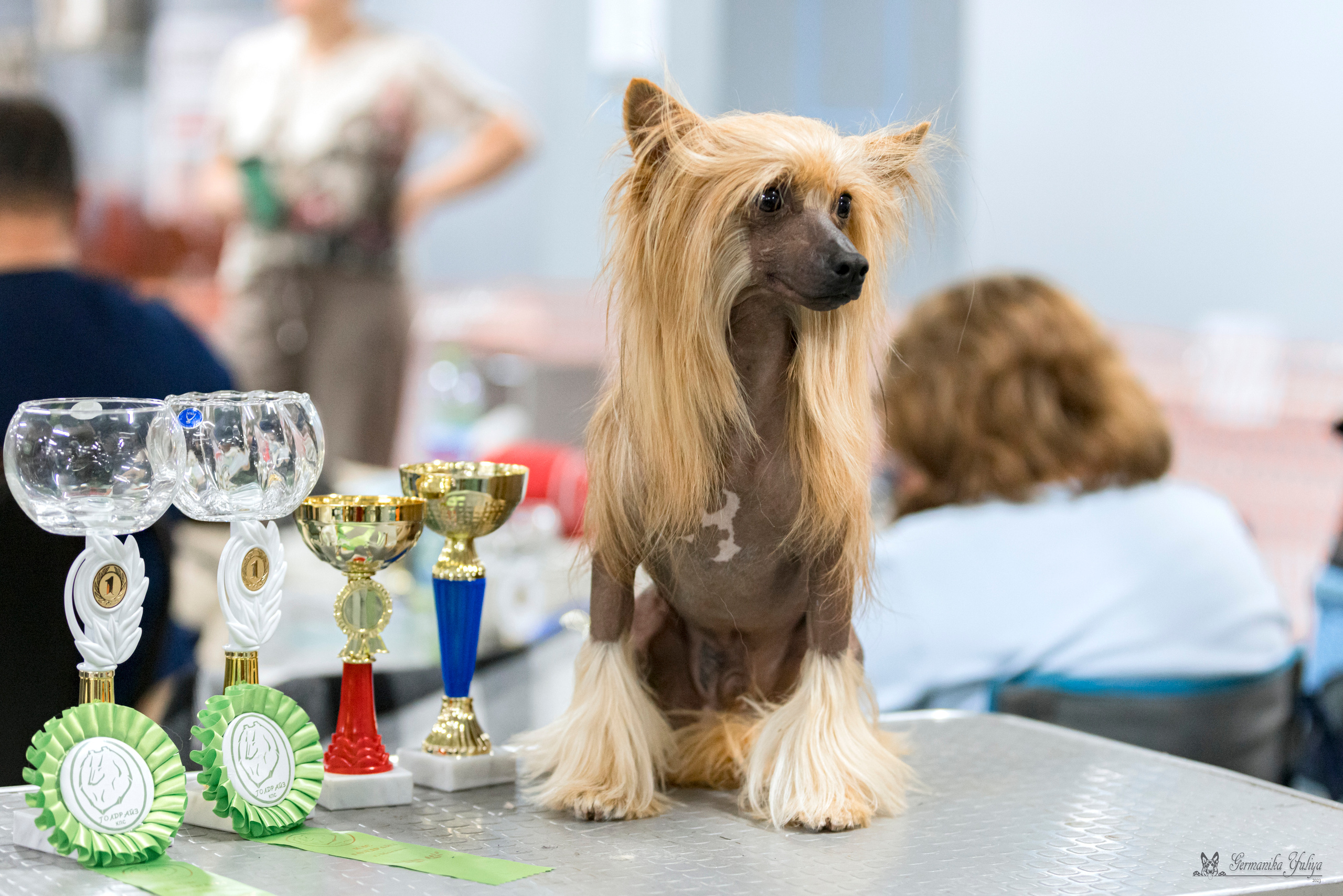 Сфера-Ховрино 29-30.07.2023. Фотограф-анималист Юлия Германика