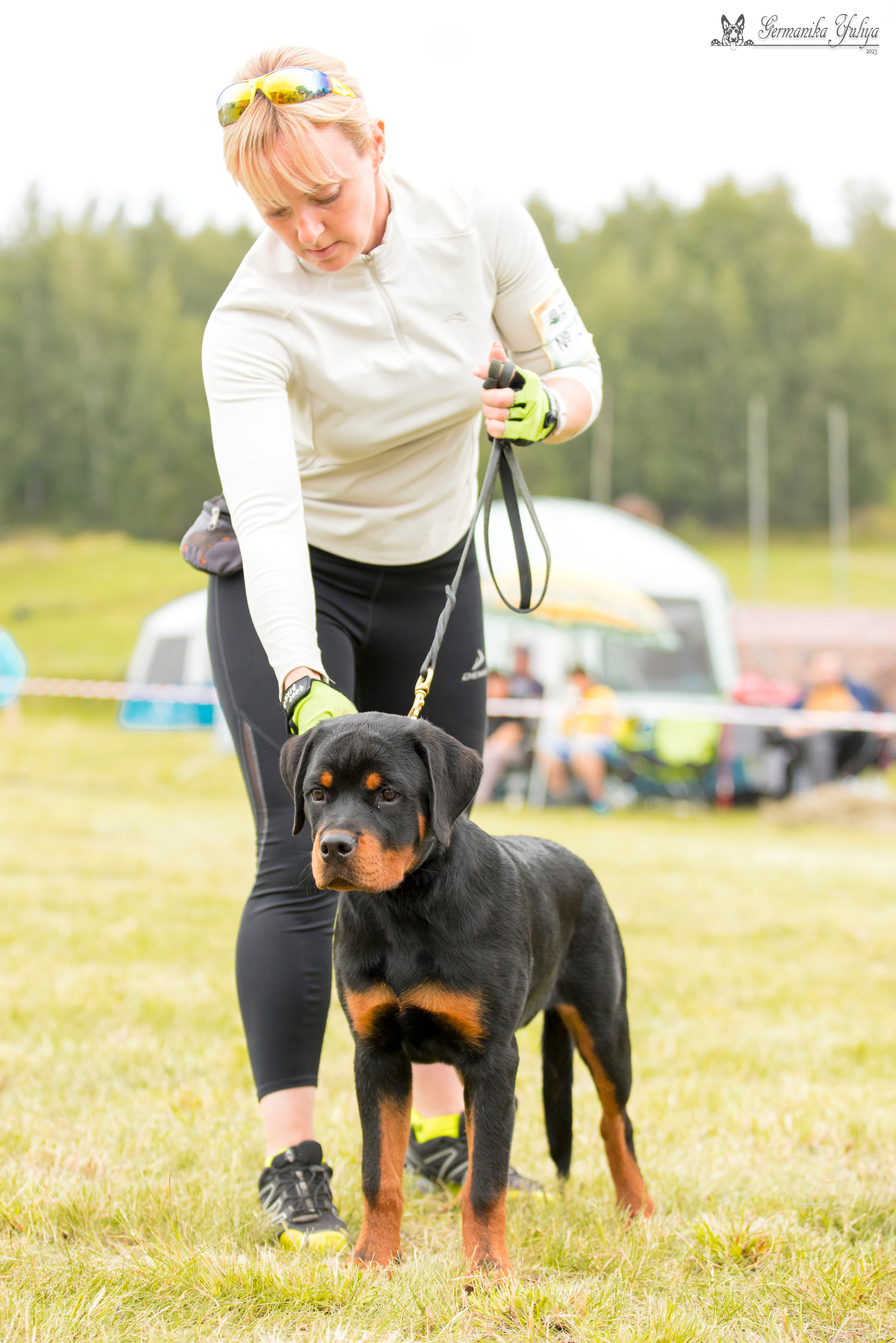 Рязань моно ротвейлеров 12.08.2023. Фотограф-анималист Юлия Германика