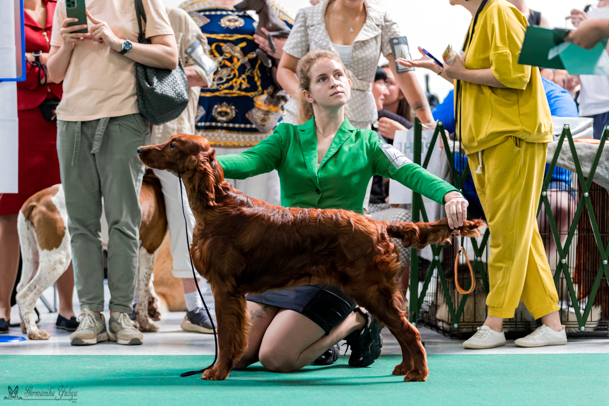 Крокус,Псков 5-6.08.2023. Фотограф-анималист Юлия Германика