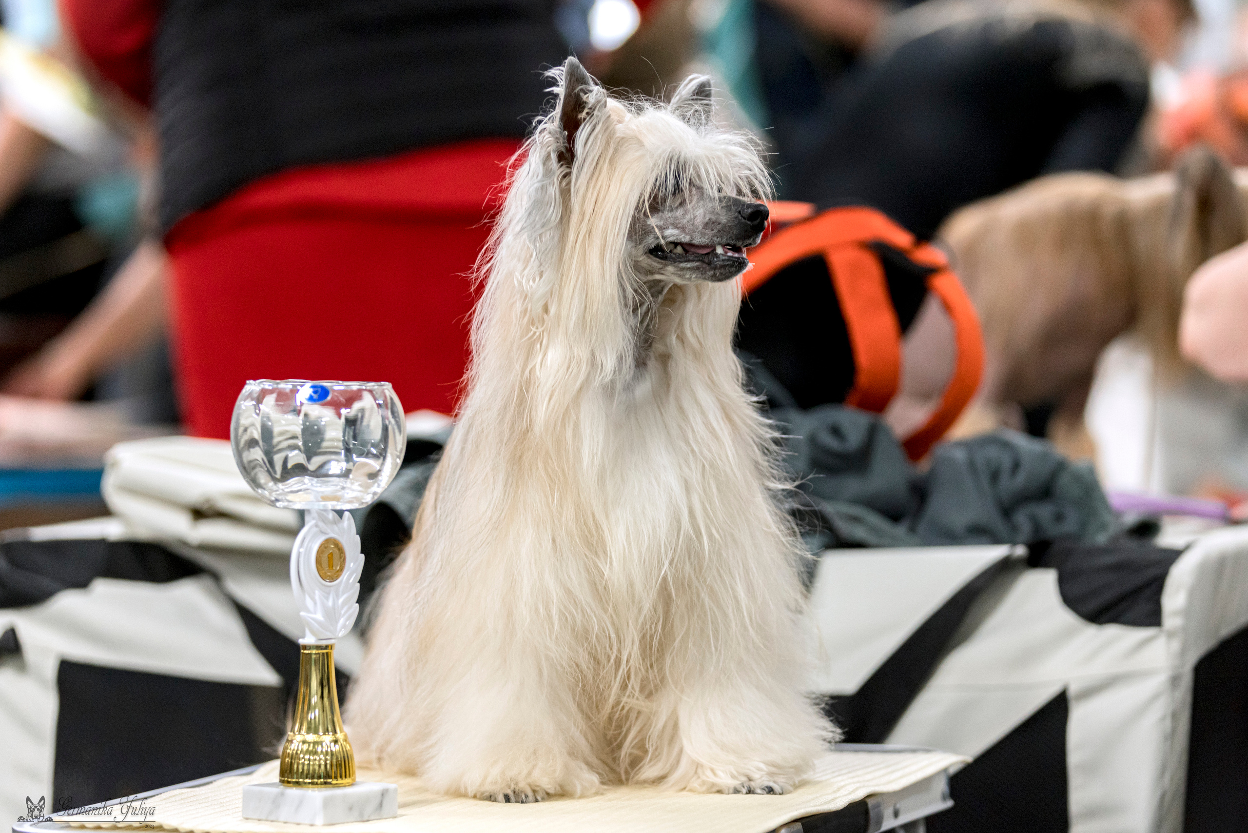 Сфера-Ховрино 29-30.07.2023. Фотограф-анималист Юлия Германика