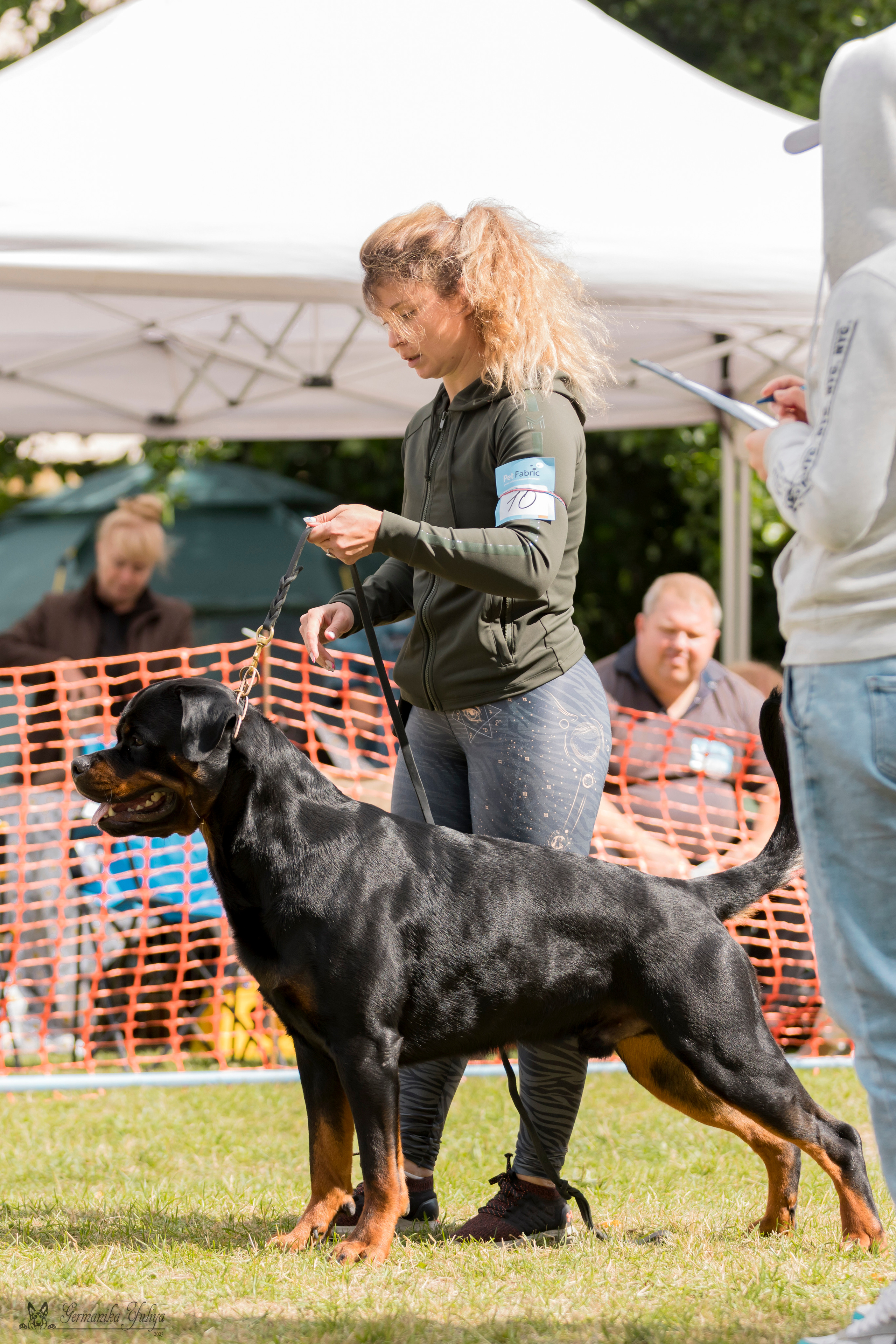 ПК и КЧК ротвейлеров Питер 22-23.07.2023. Фотограф-анималист Юлия Германика