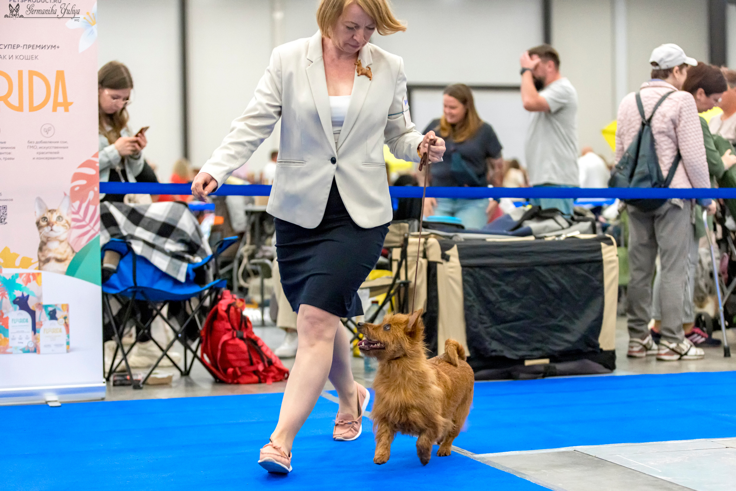 Питер 2-3.09.2023. Фотограф-анималист Юлия Германика