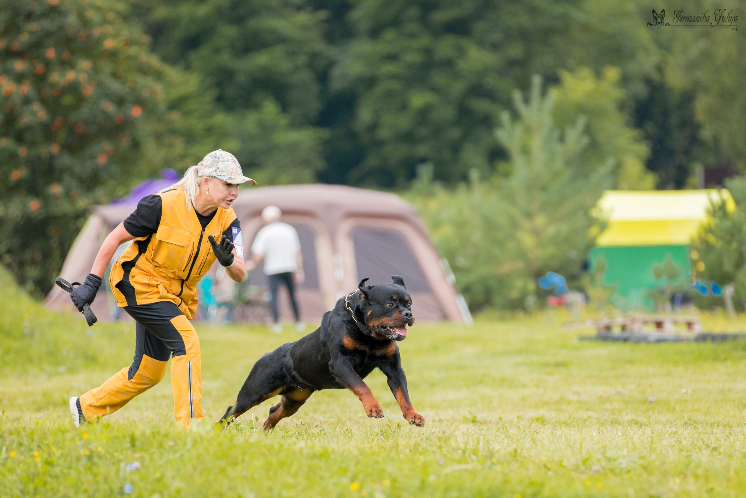 Рязань моно ротвейлеров 12.08.2023. Фотограф-анималист Юлия Германика