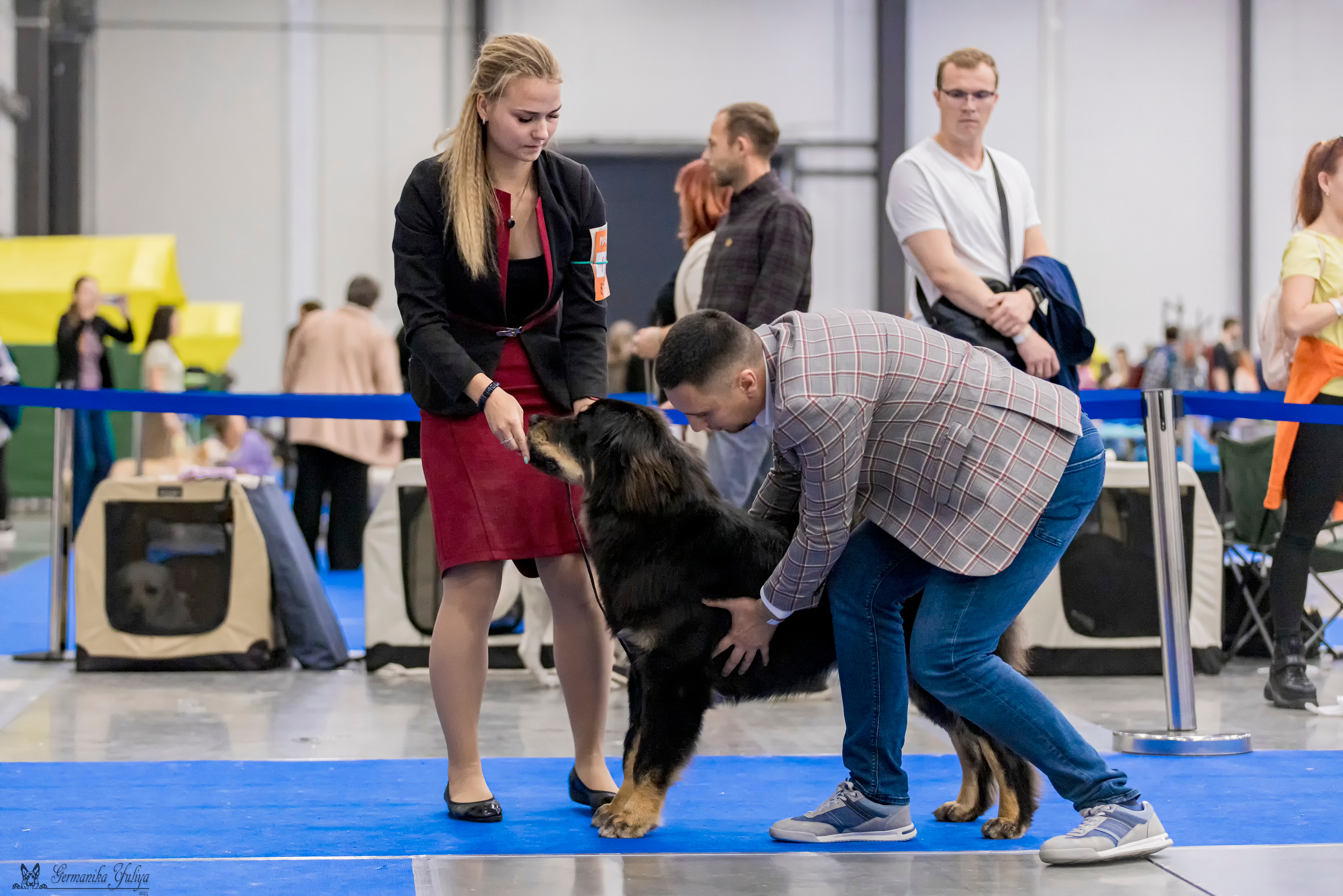 Питер 2-3.09.2023. Фотограф-анималист Юлия Германика