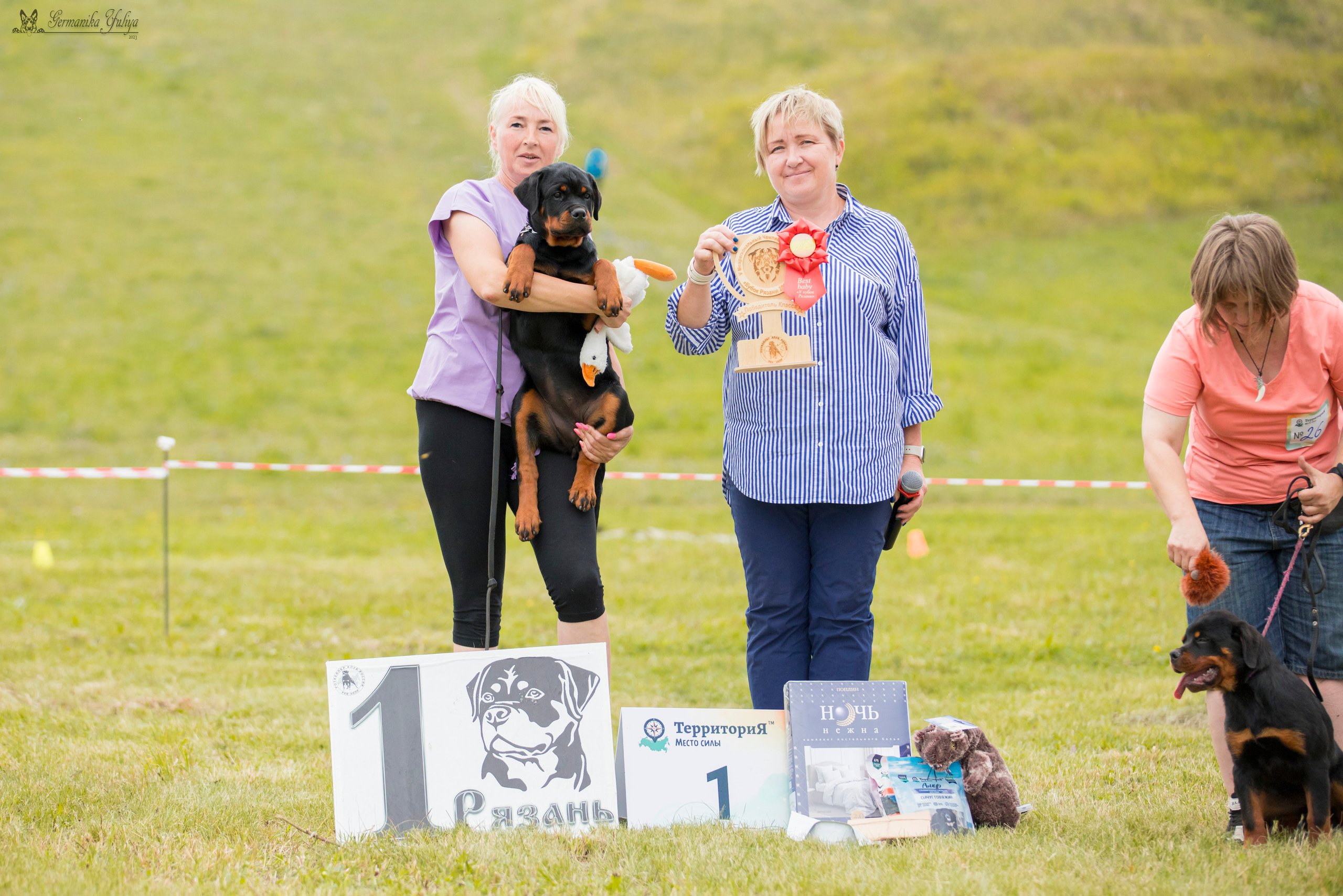 Рязань моно ротвейлеров 12.08.2023. Фотограф-анималист Юлия Германика