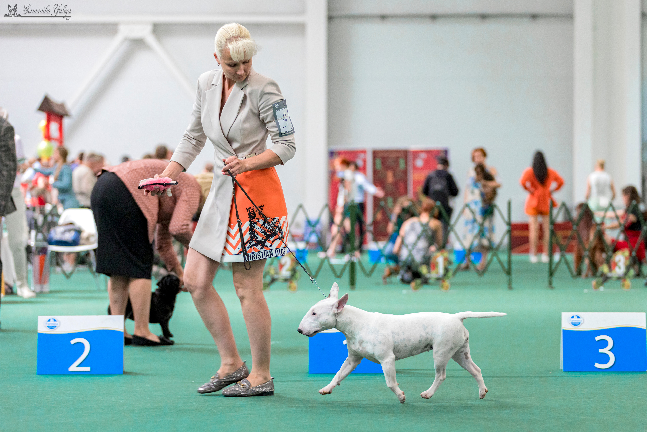 Крокус,Псков 5-6.08.2023. Фотограф-анималист Юлия Германика