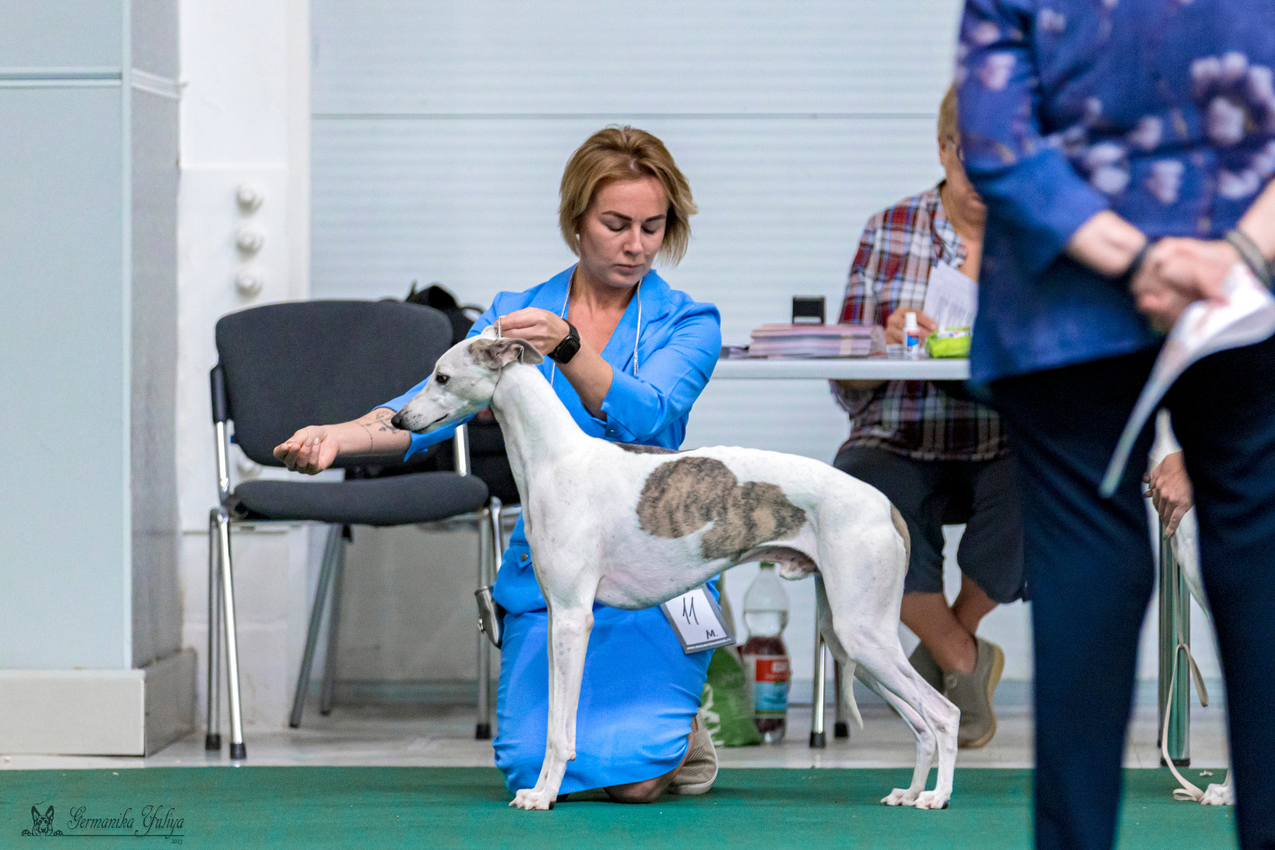 Крокус,Псков 5-6.08.2023. Фотограф-анималист Юлия Германика
