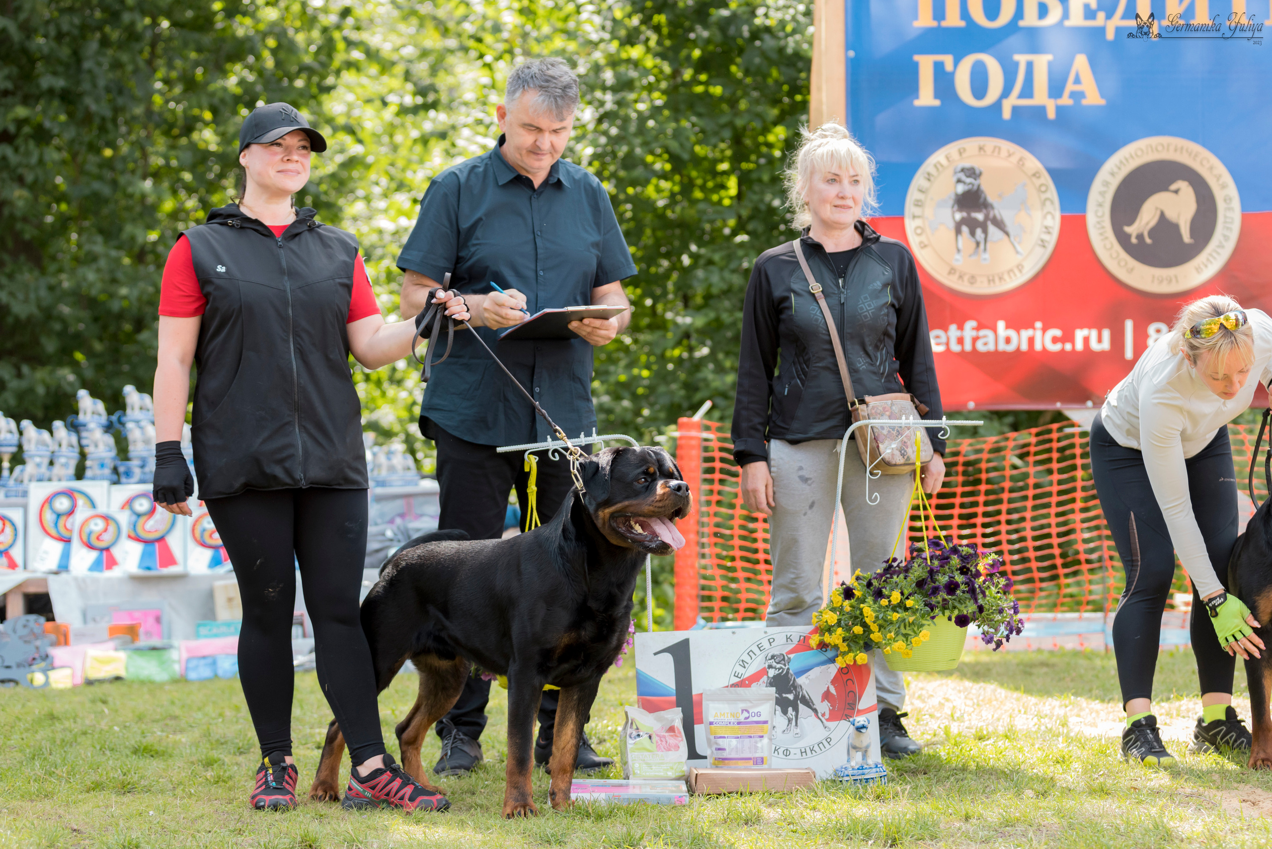 ПК и КЧК ротвейлеров Питер 22-23.07.2023. Фотограф-анималист Юлия Германика