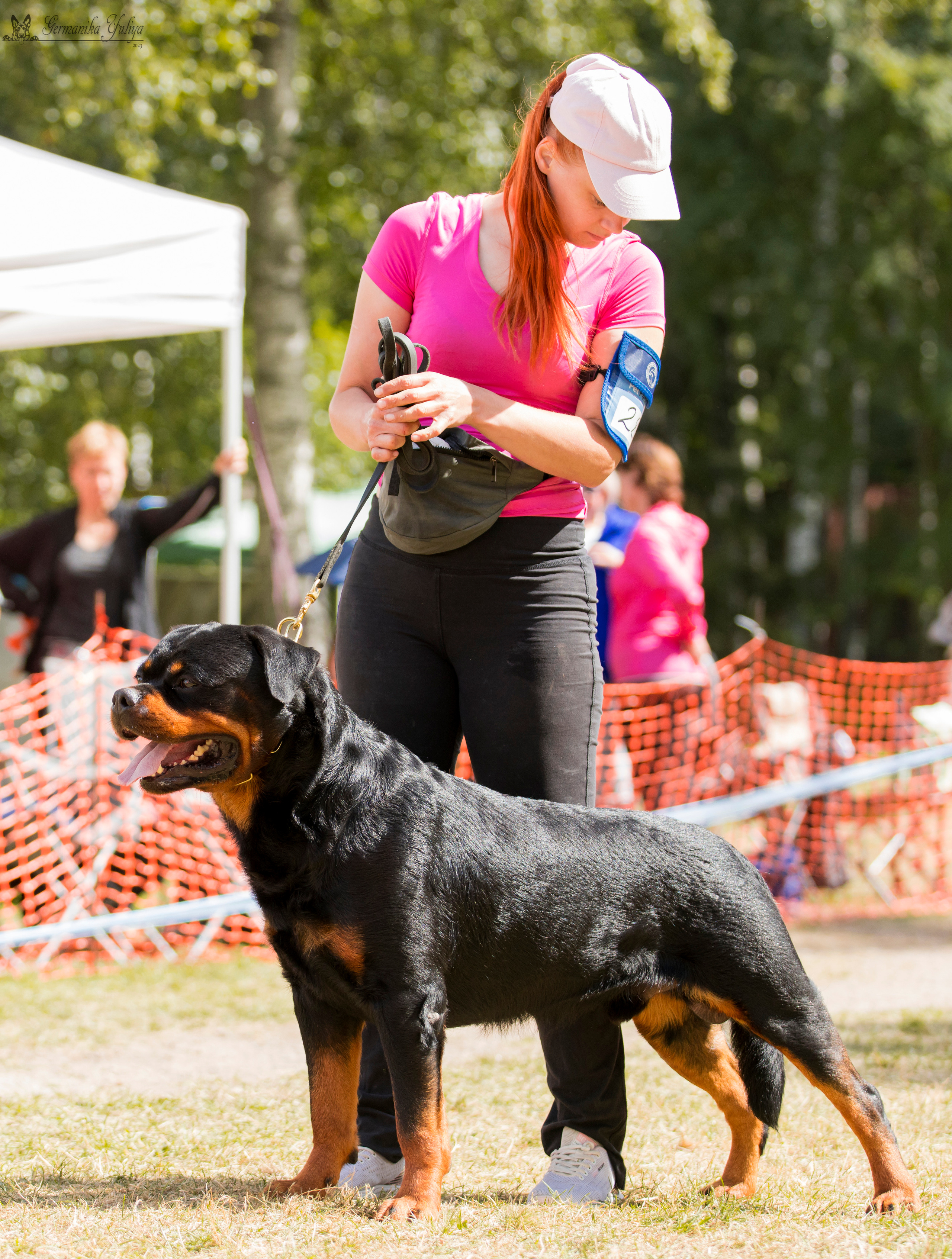 ПК и КЧК ротвейлеров Питер 22-23.07.2023. Фотограф-анималист Юлия Германика