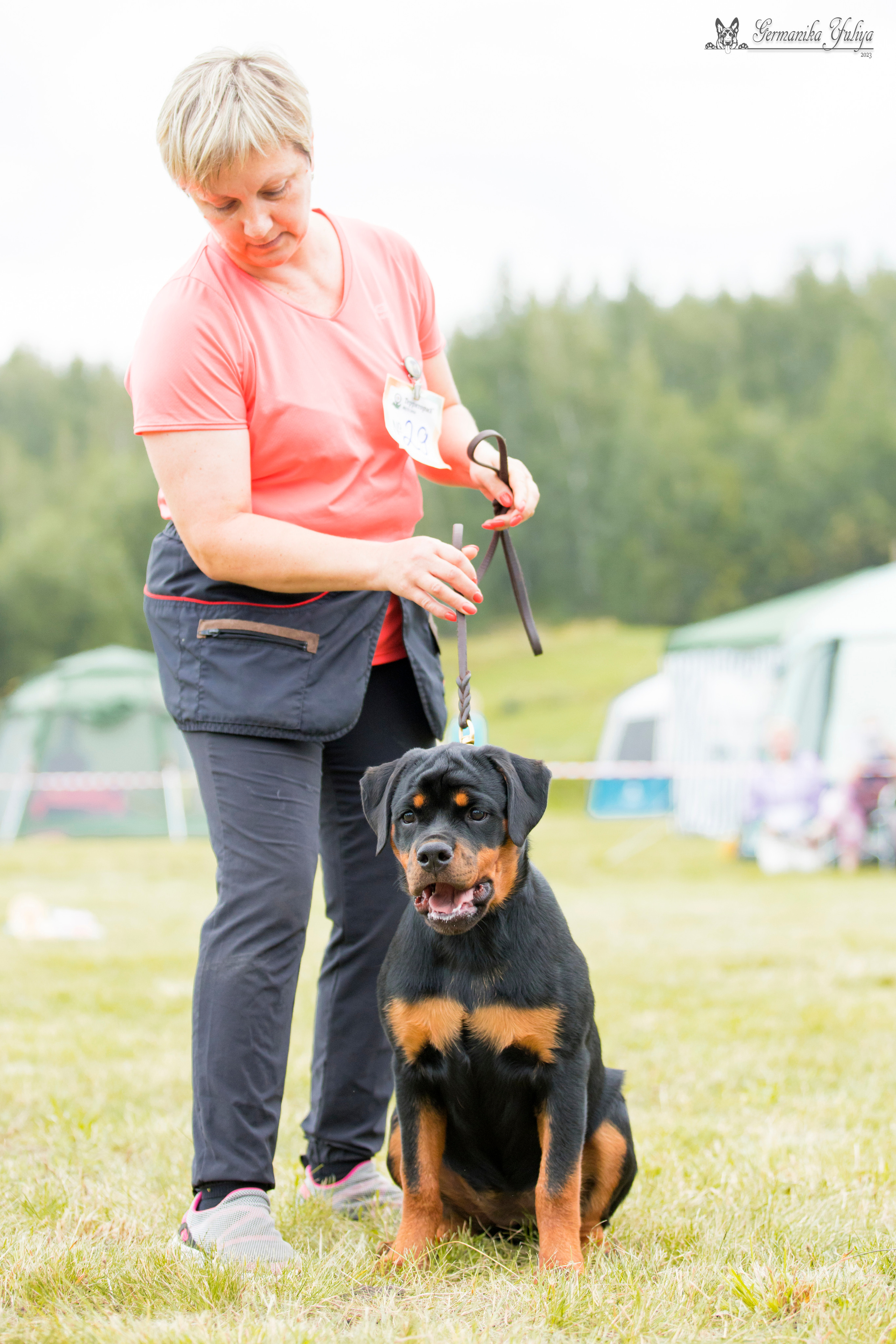 Рязань моно ротвейлеров 12.08.2023. Фотограф-анималист Юлия Германика