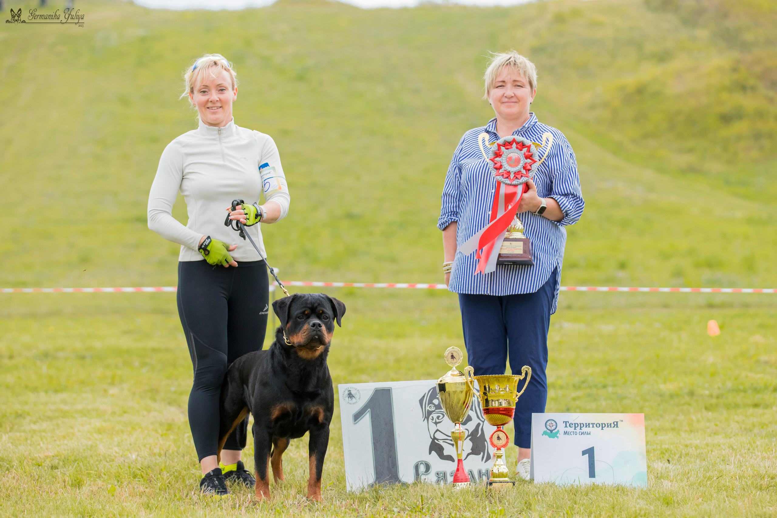 Рязань моно ротвейлеров 12.08.2023. Фотограф-анималист Юлия Германика