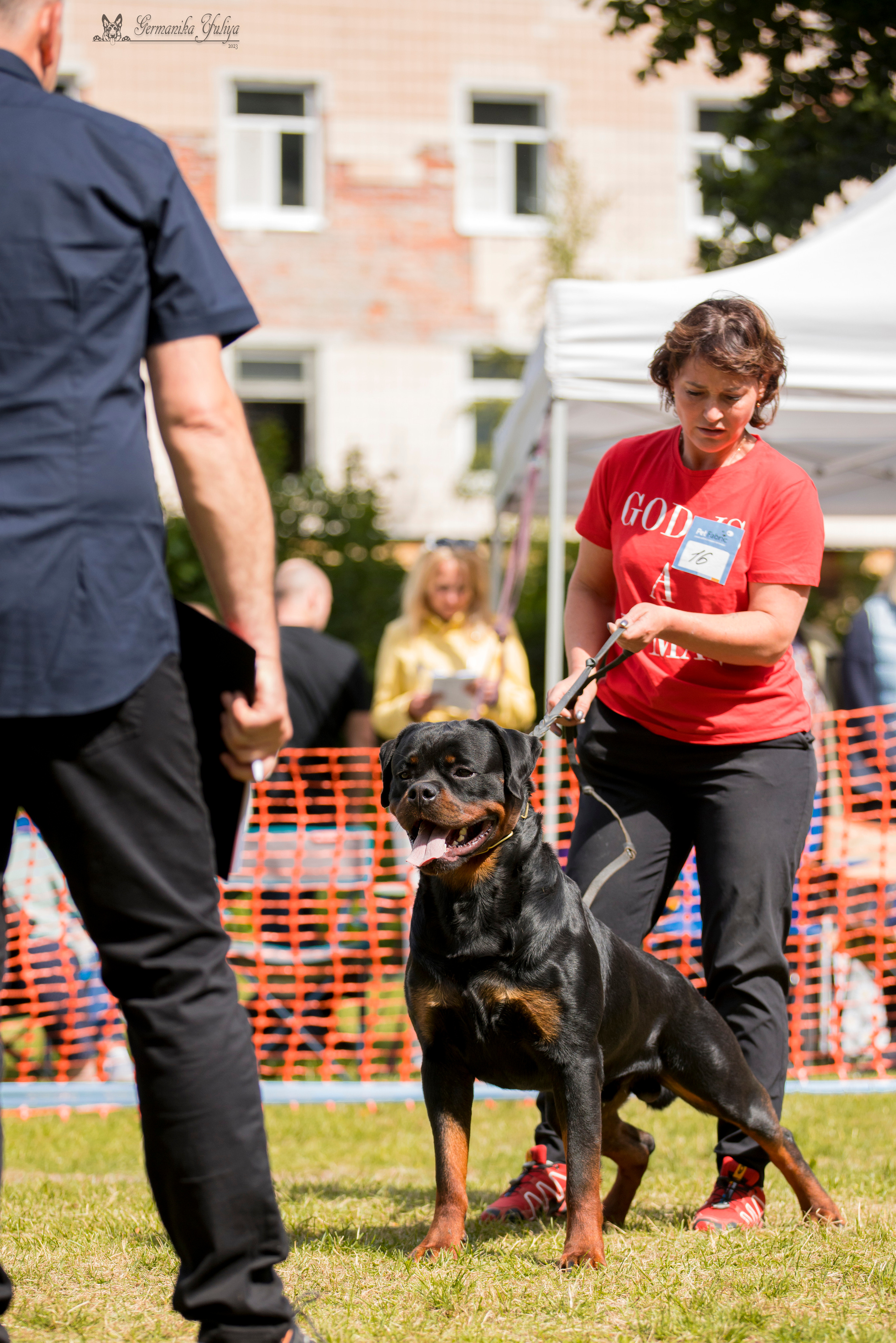 ПК и КЧК ротвейлеров Питер 22-23.07.2023. Фотограф-анималист Юлия Германика